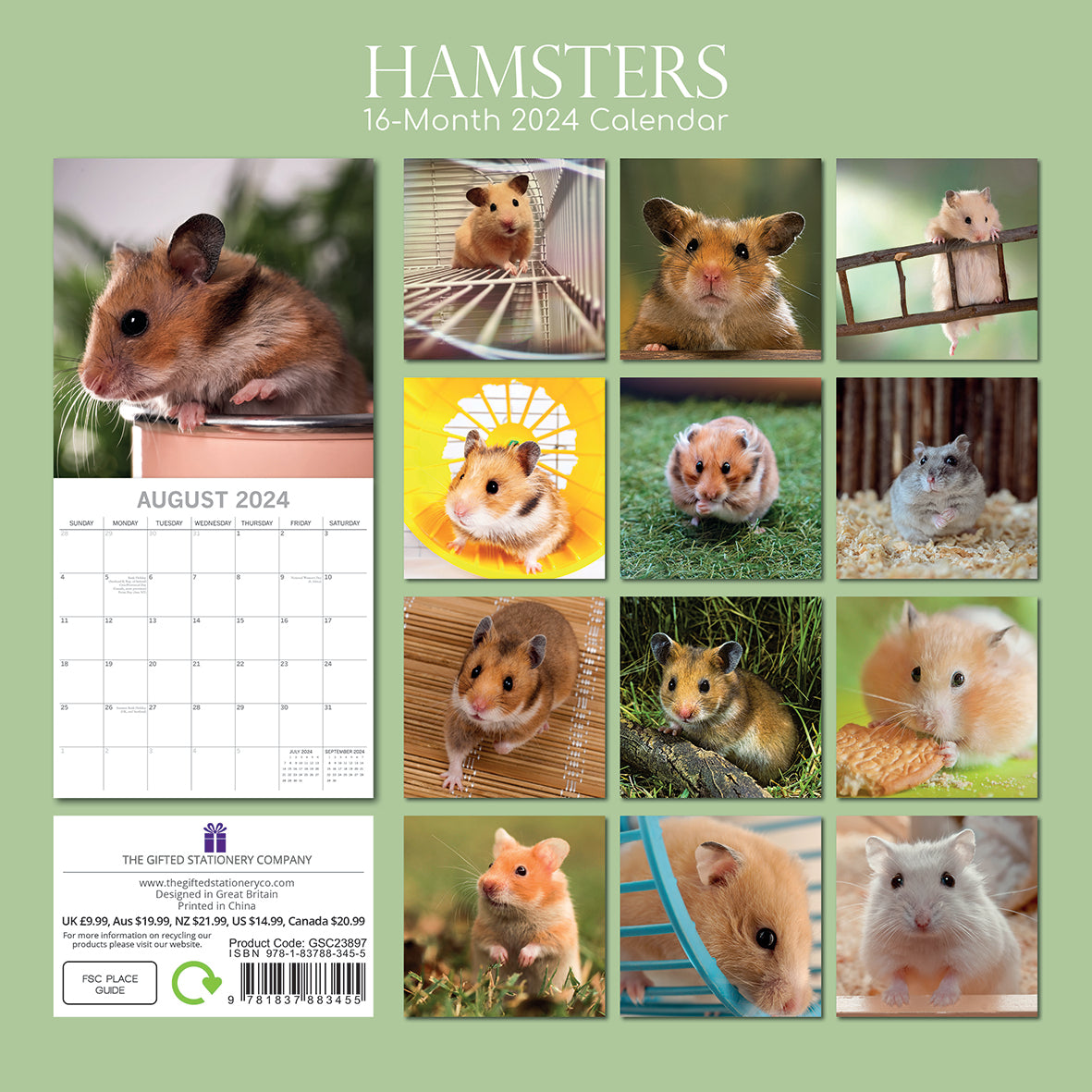 2024 Hamsters Square Wall Calendar Animals & Wildlife Calendars by