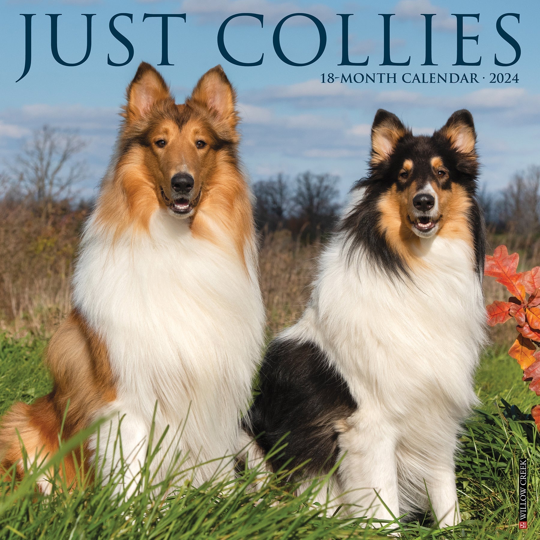 2024 Just Collies - Square Wall Calendar US
