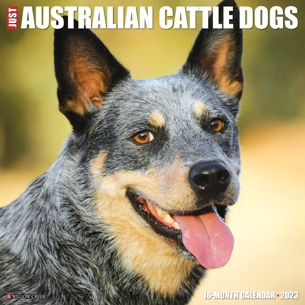 2023 Just Australian Cattle Dogs - Square Wall Calendar