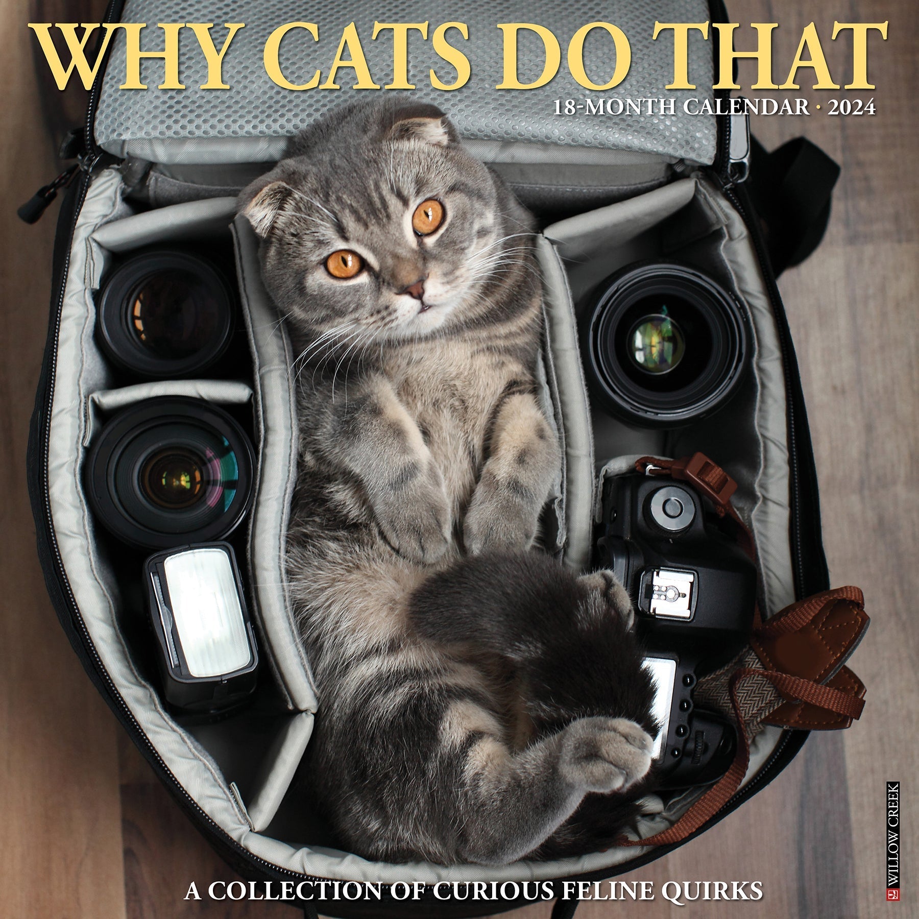 2024 Why Cats Do That - Square Wall Calendar US
