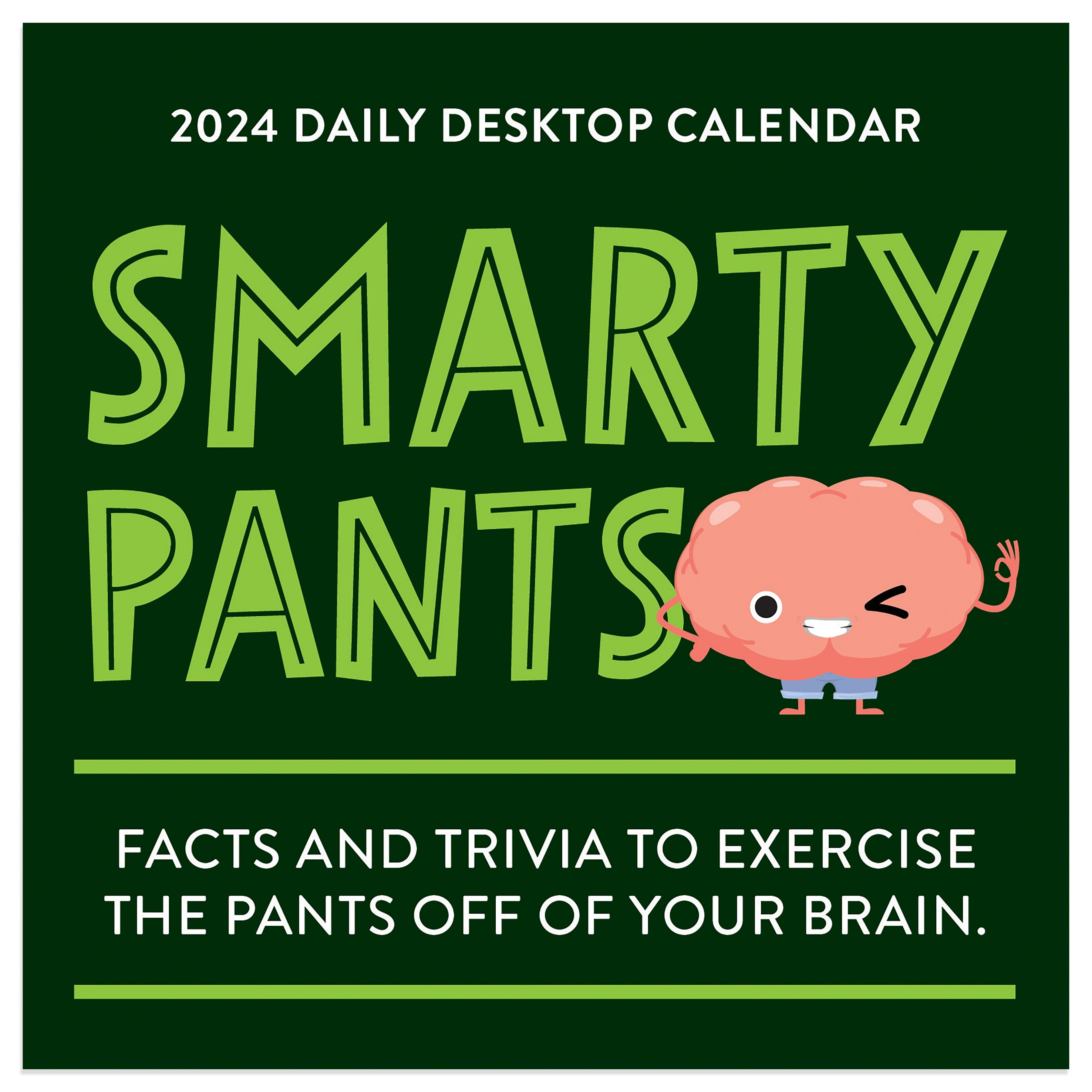 2024 Smarty Pants - Daily Boxed Page-A-Day Calendar US