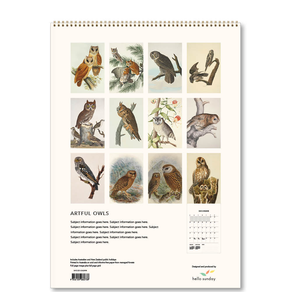 2023 Artful Owls - Deluxe Wall Calendar