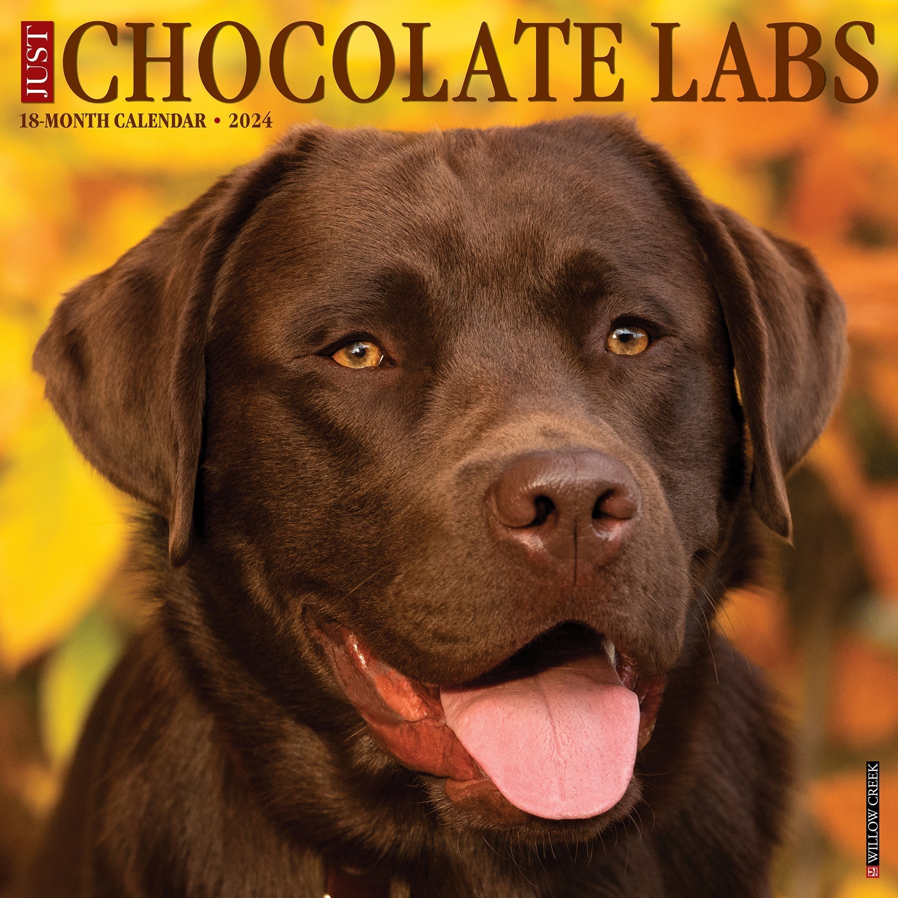 2024 Just Chocolate Labs - Square Wall Calendar US