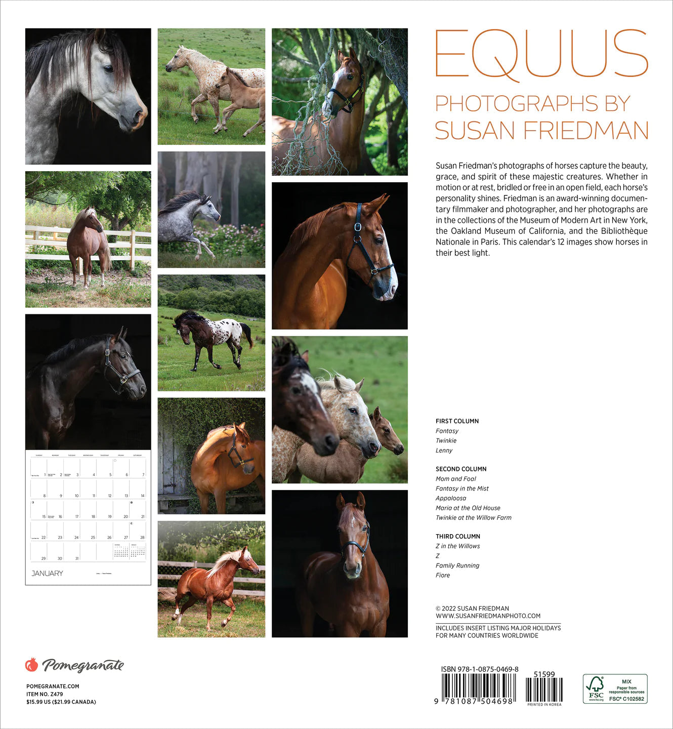 2023 Equus: Photographs by Susan Friedman - Square Wall Calendar