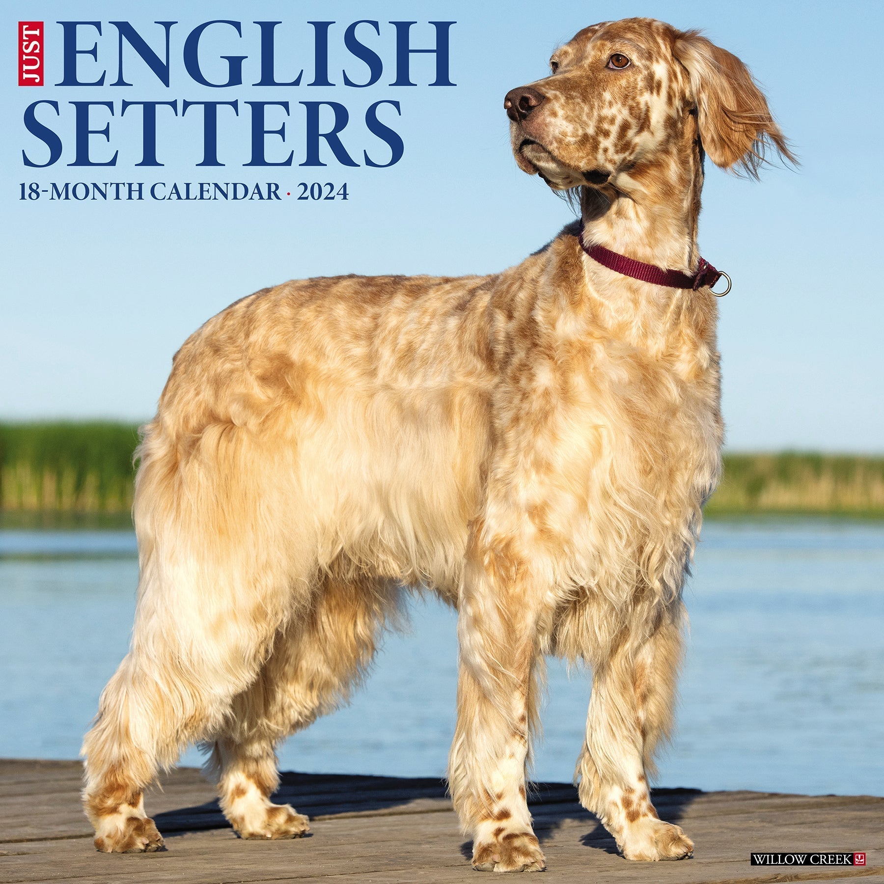 2024 Just English Setters - Square Wall Calendar US