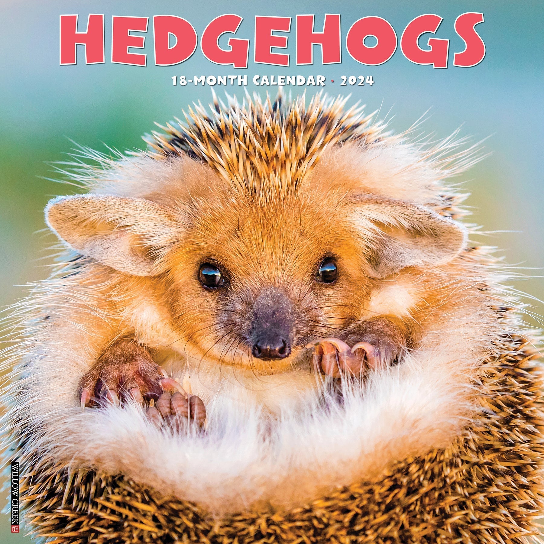2024 Hedgehogs (by Willow Creek) - Square Wall Calendar US