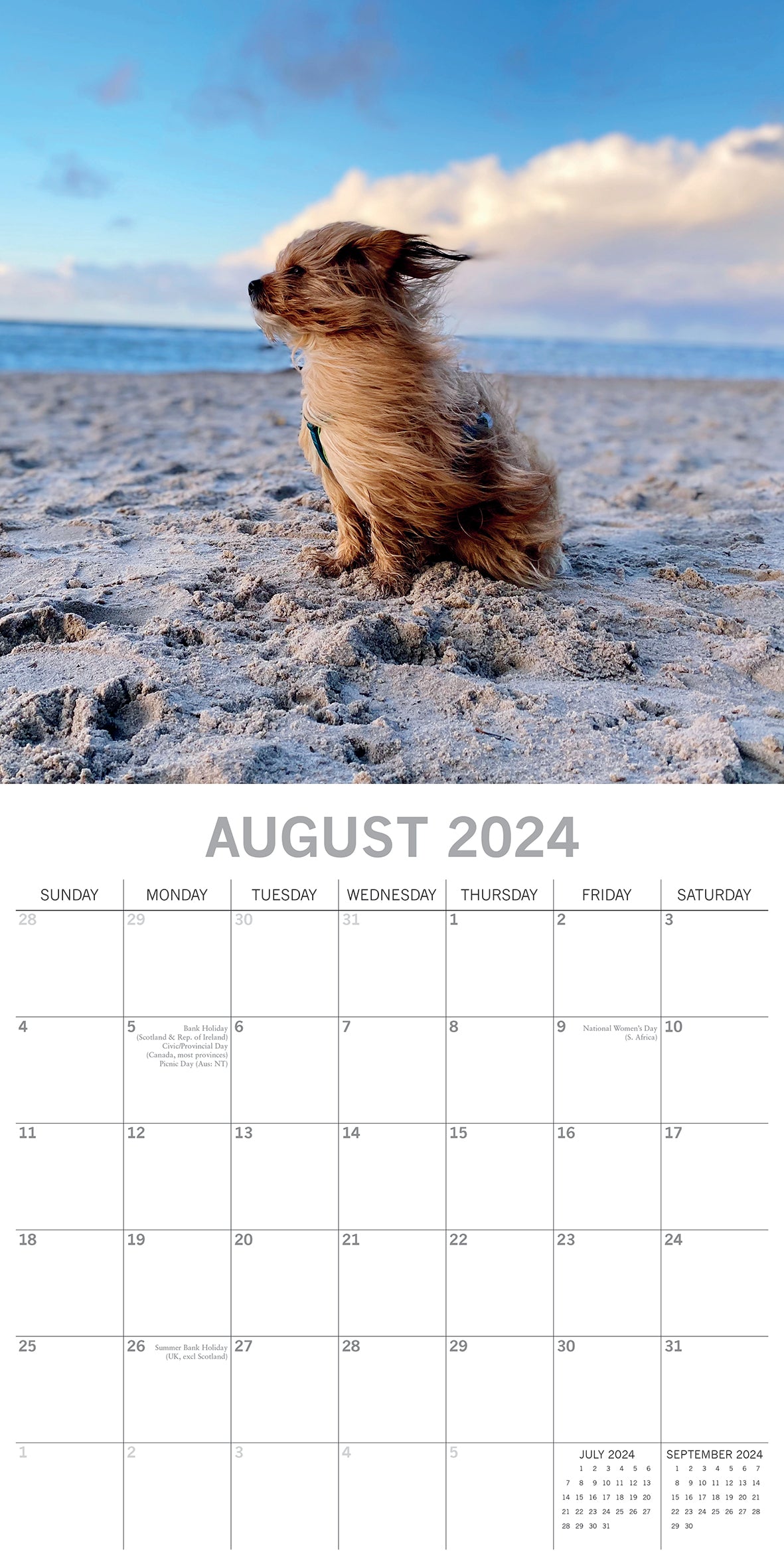 2024 Dogs in the Wind - Square Wall Calendar