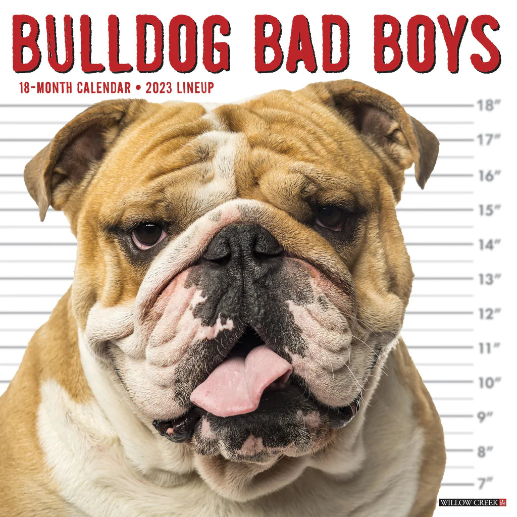 2023 Bulldog Bad Boys - Square Wall Calendar
