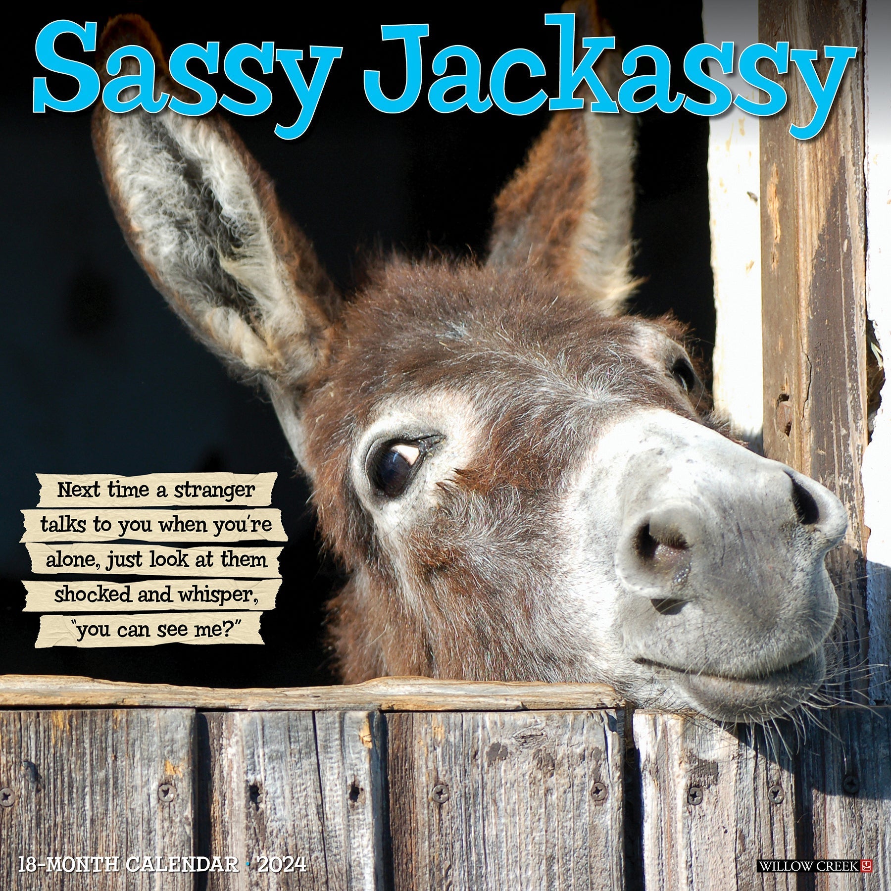 2024 Sassy Jackassy - Square Wall Calendar US