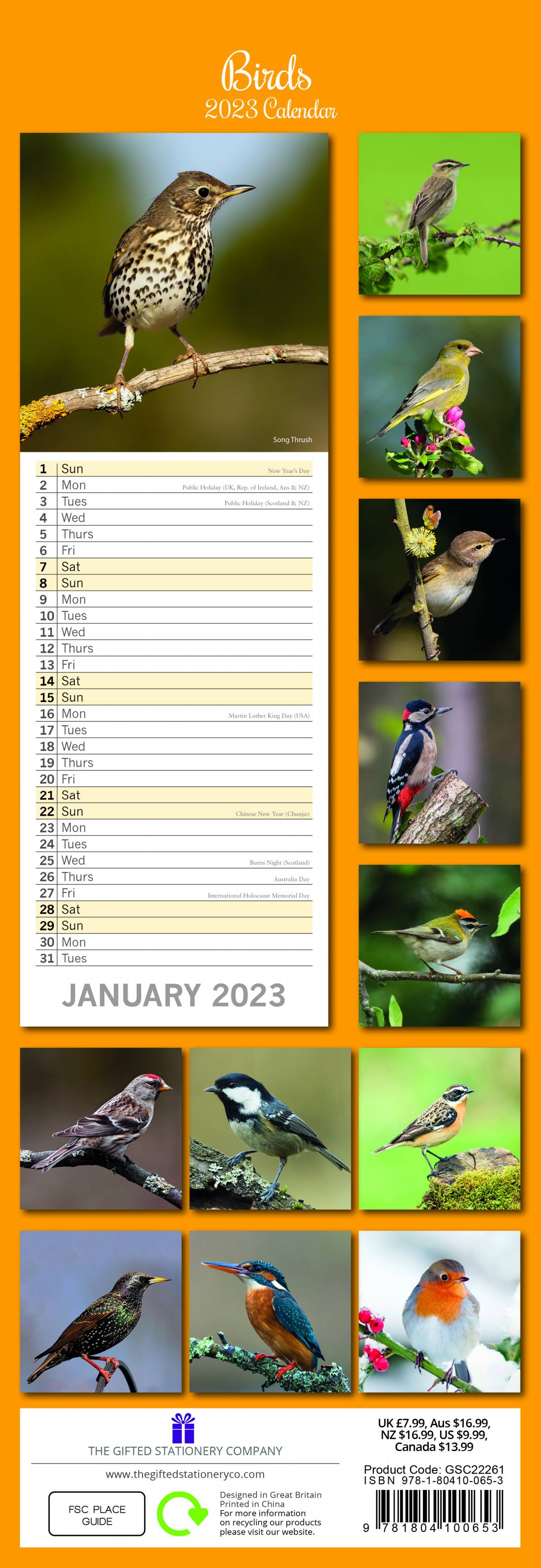 2023 Birds - Slim Wall Calendar