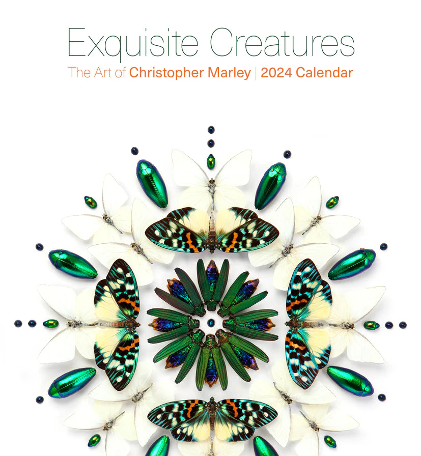 2024 Exquisite Creatures: The Art of Christopher Marley - Square Wall Calendar  SOLD OUT