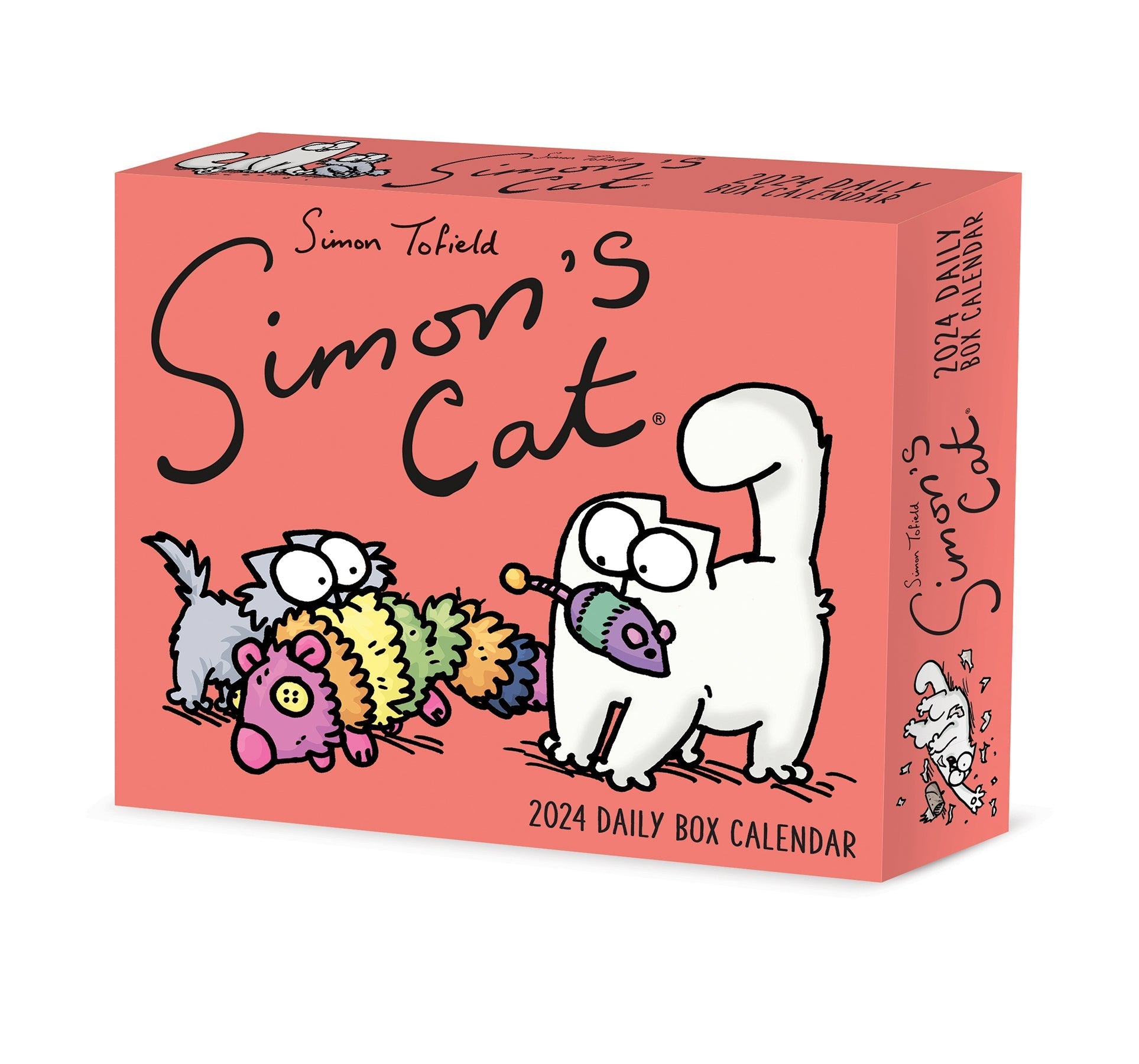 2024 Simon's Cat - Daily Boxed Page-A-Day Calendar US