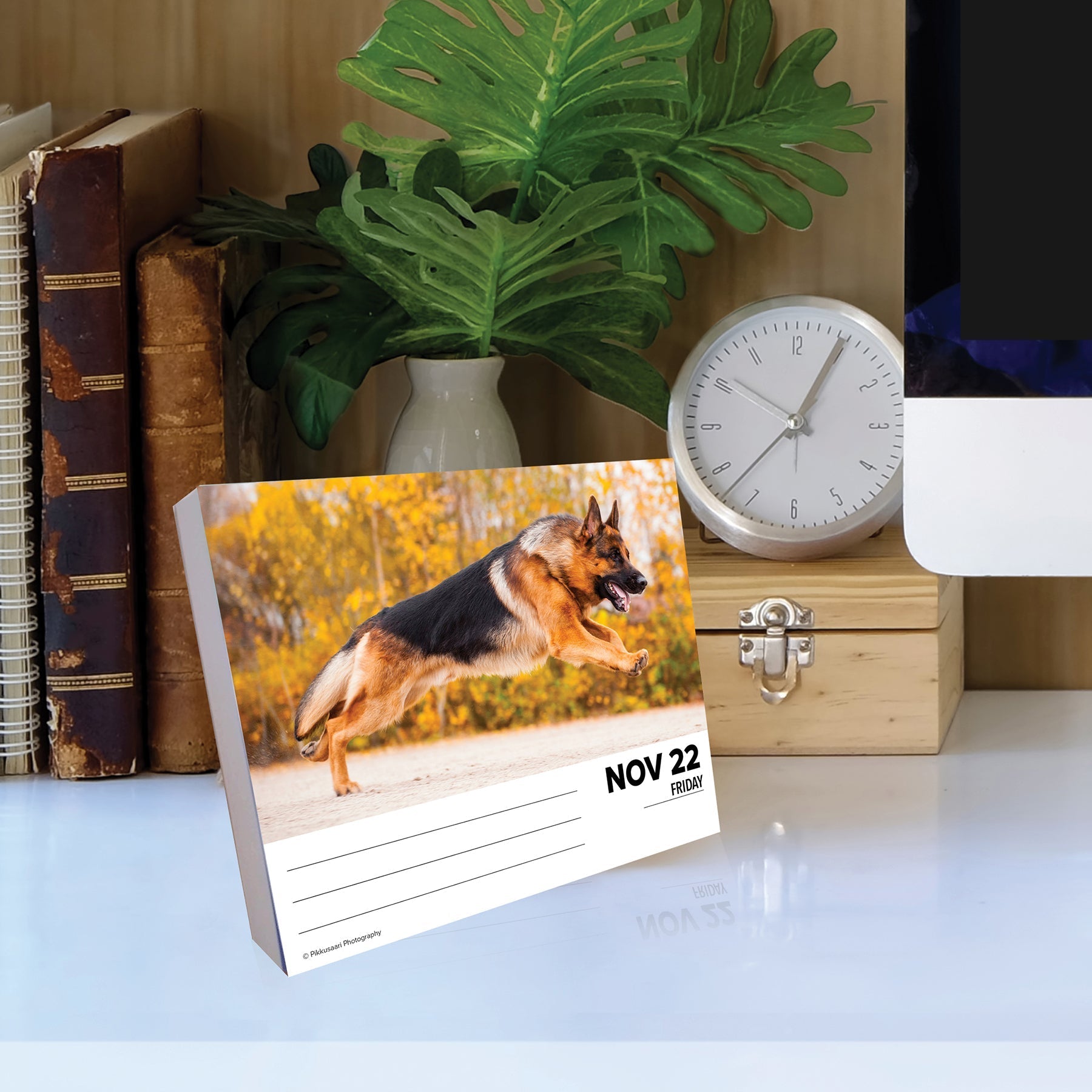 2024 German Shepherds - Daily Boxed Page-A-Day Calendar US