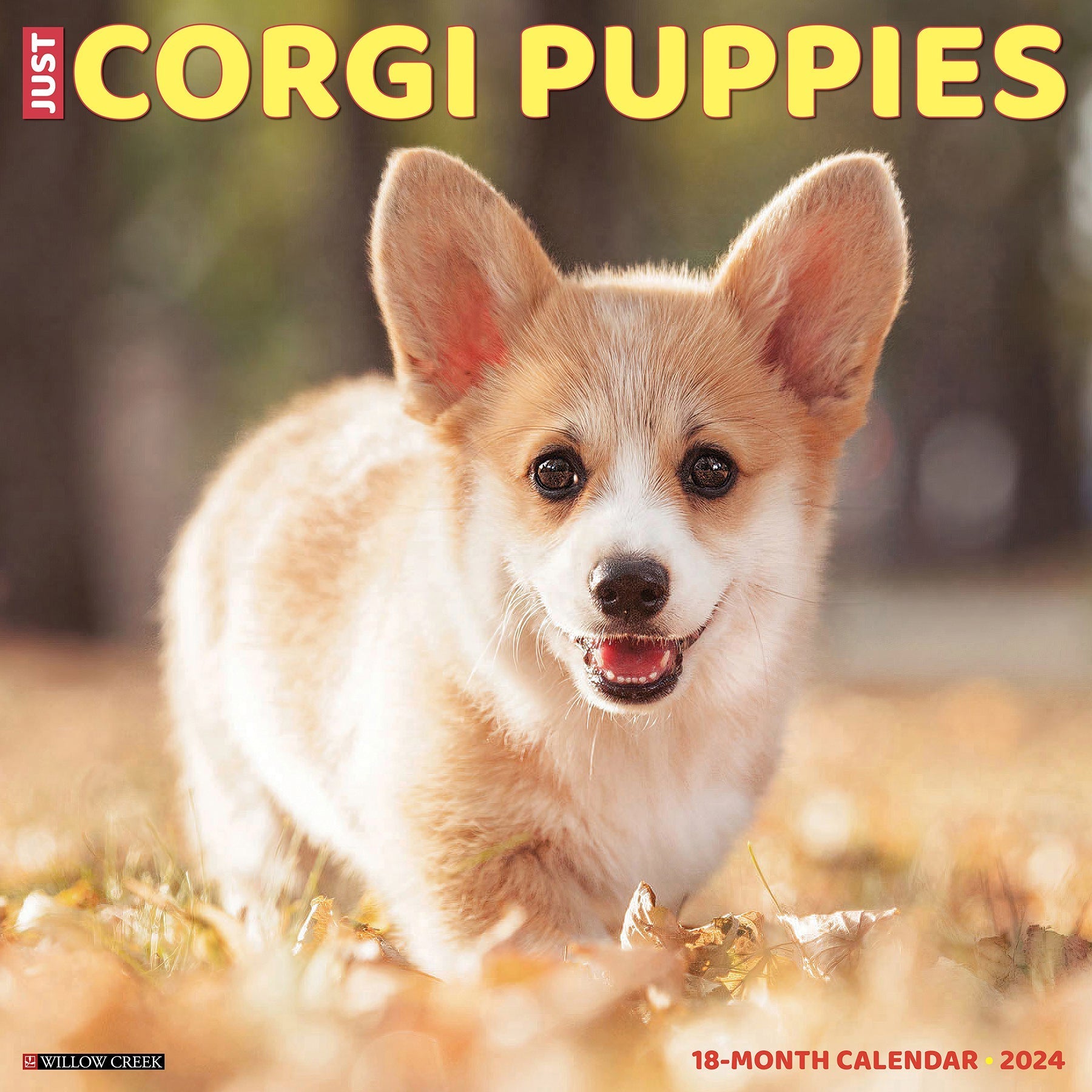 2024 Just Corgi Puppies - Square Wall Calendar US