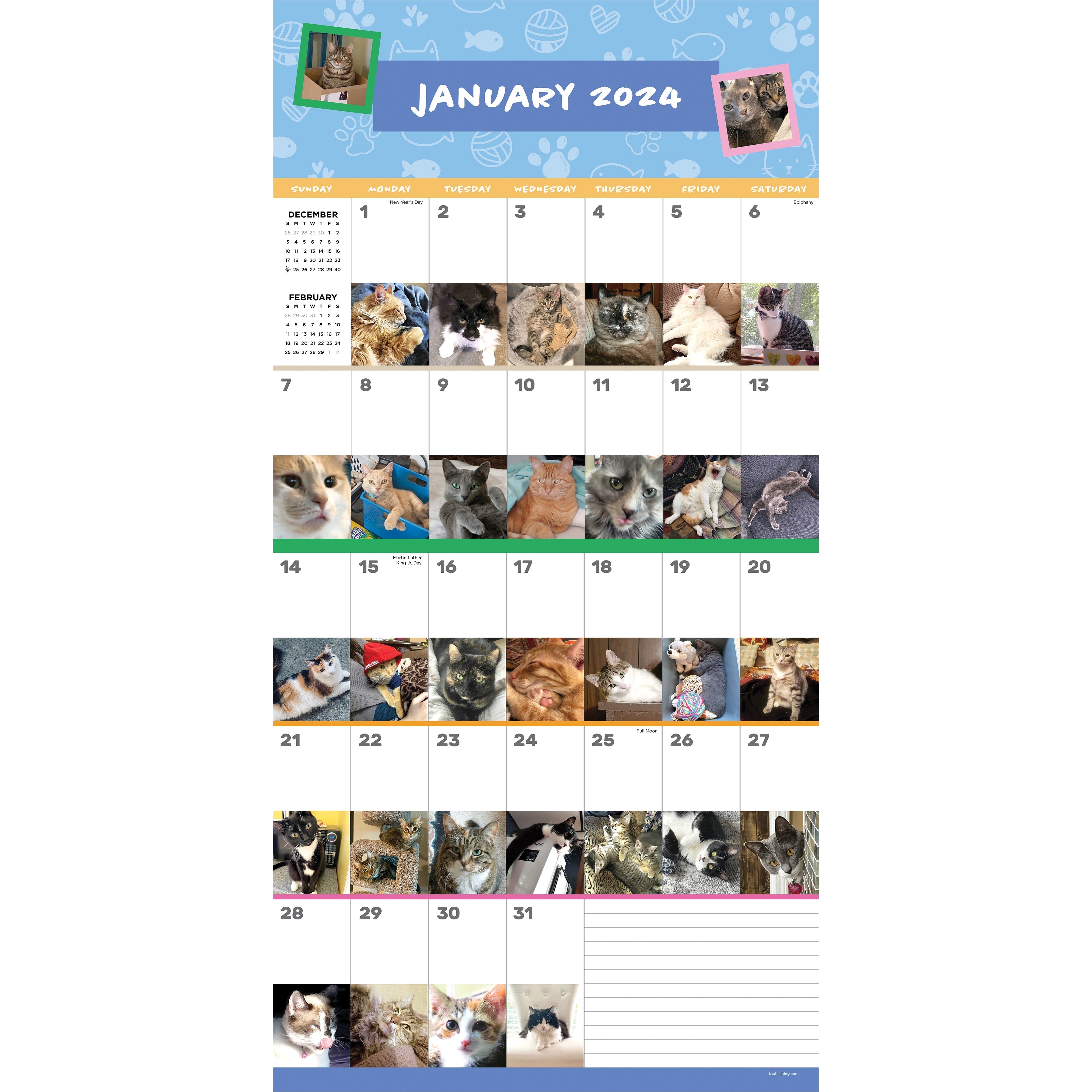 2024 Cat-A-Day - Square Wall Calendar US