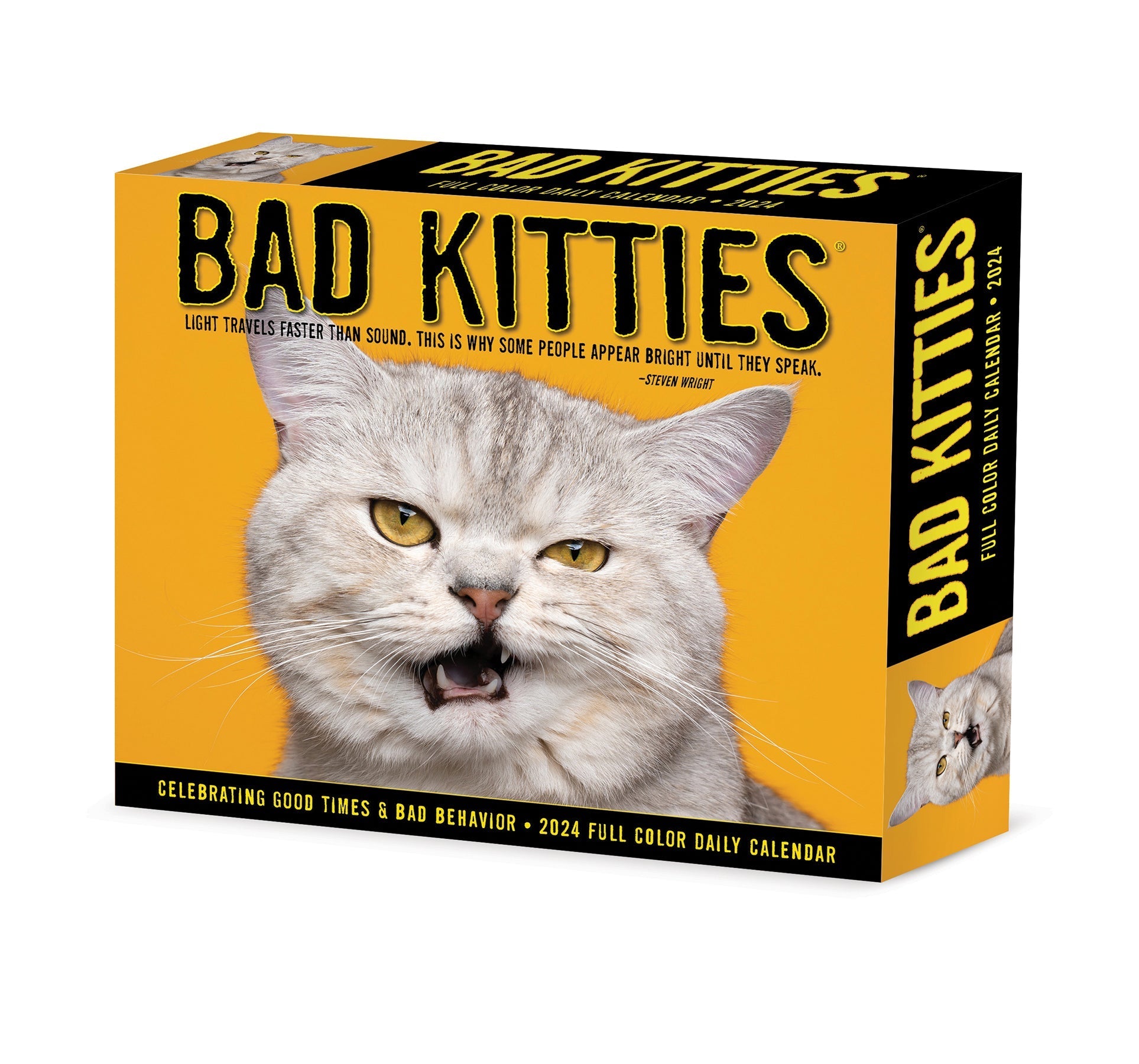 2024 Bad Kitties - Daily Boxed Page-A-Day Calendar US