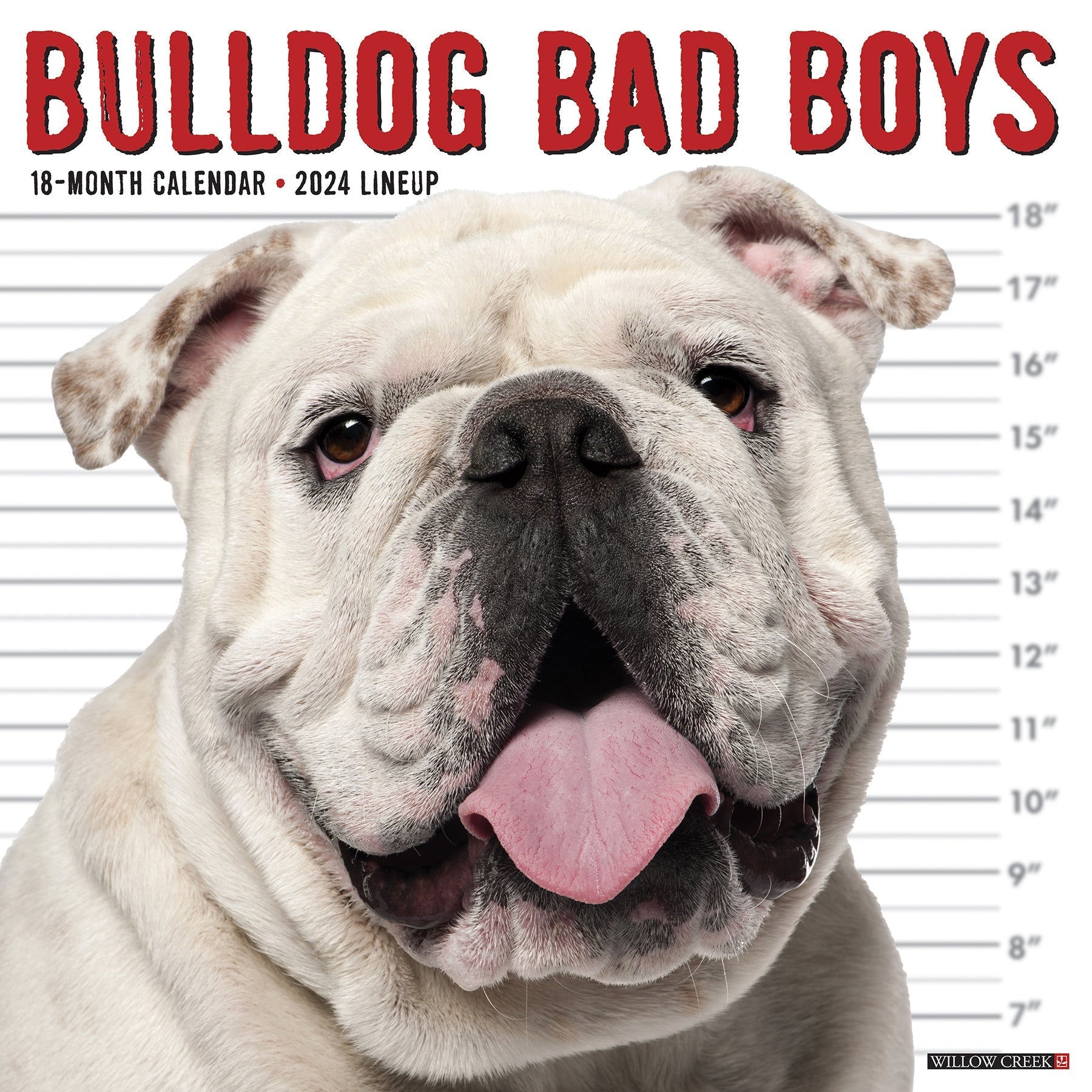 2024 Bulldog Bad Boys - Square Wall Calendar US