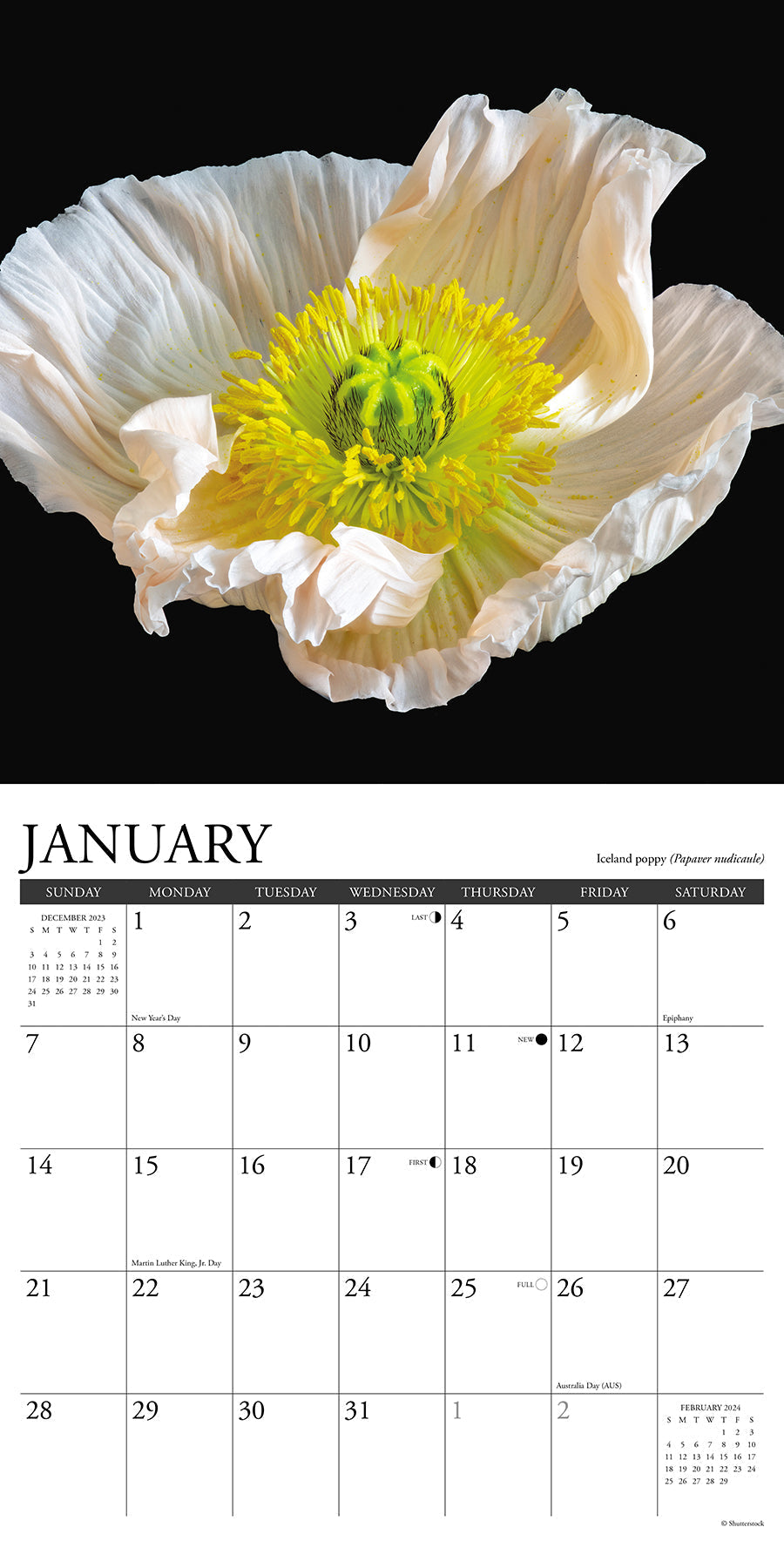 2024 Flowers (by Willow Creek) - Square Wall Calendar US