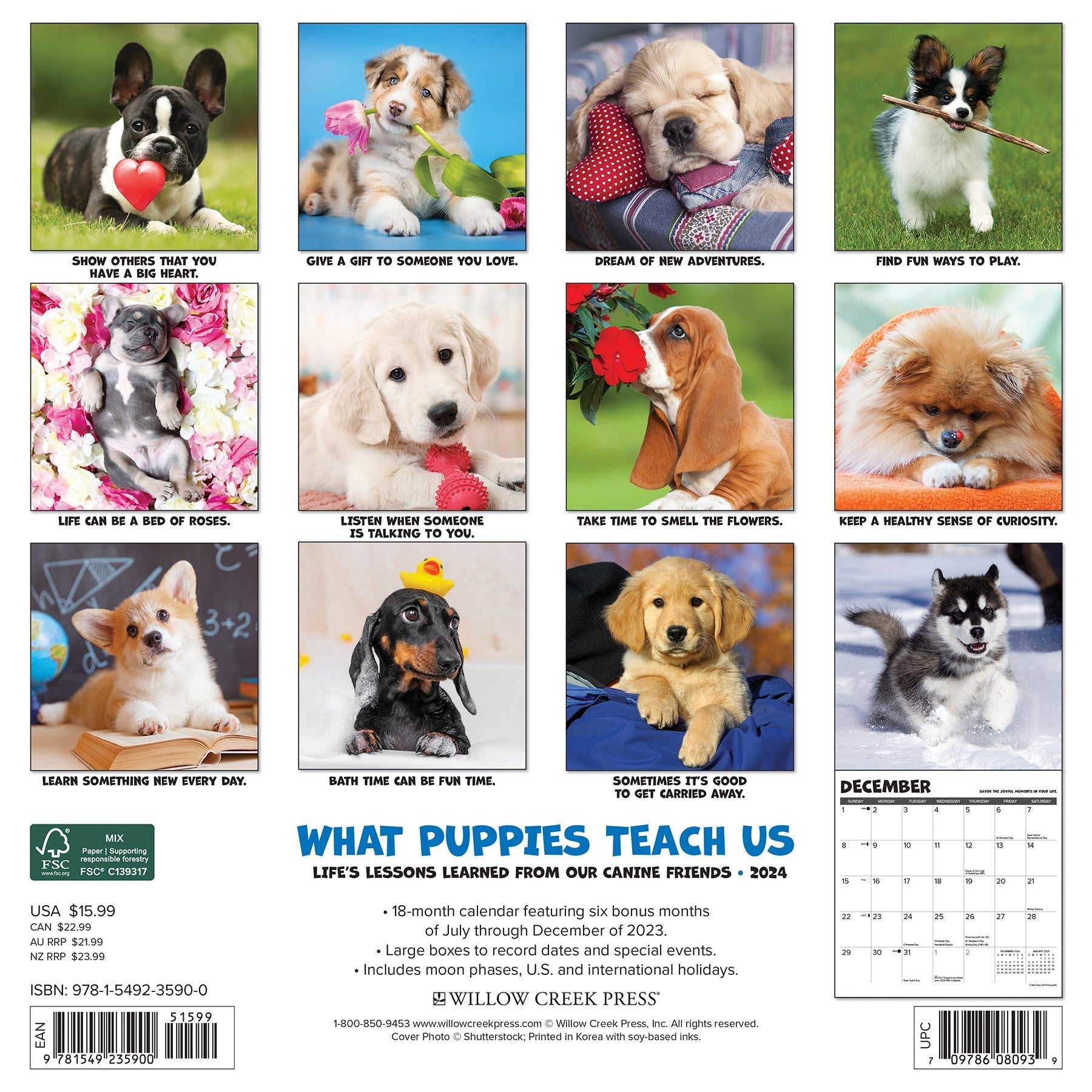 2024 What Puppies Teach Us - Square Wall Calendar US