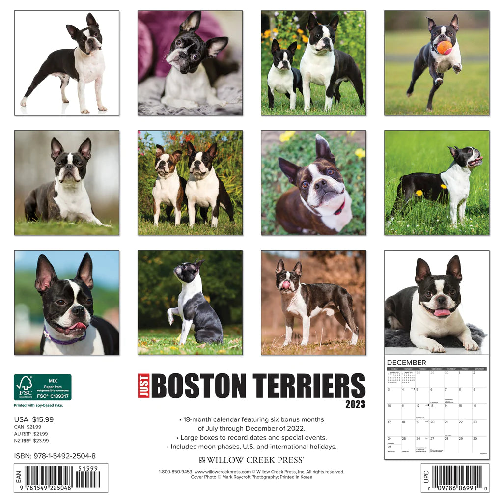 2023 Just Boston Terriers - Square Wall Calendar