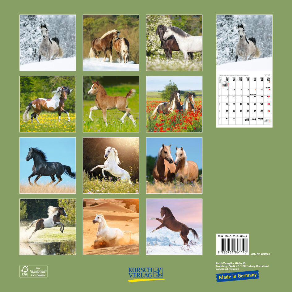 2023 Horses By Korsch Verlag - Square Wall Calendar