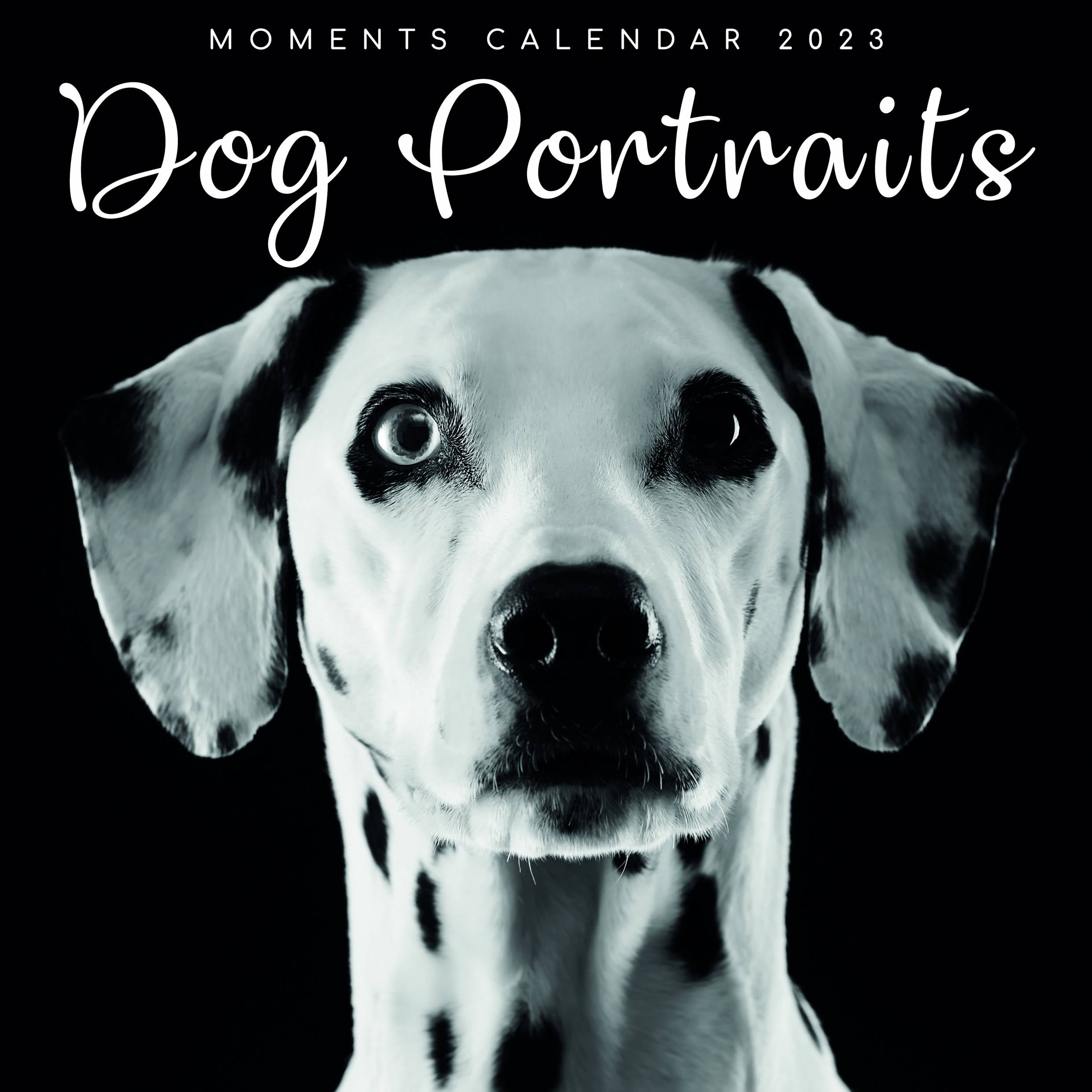2023 Dog Portraits - Square Wall Calendar