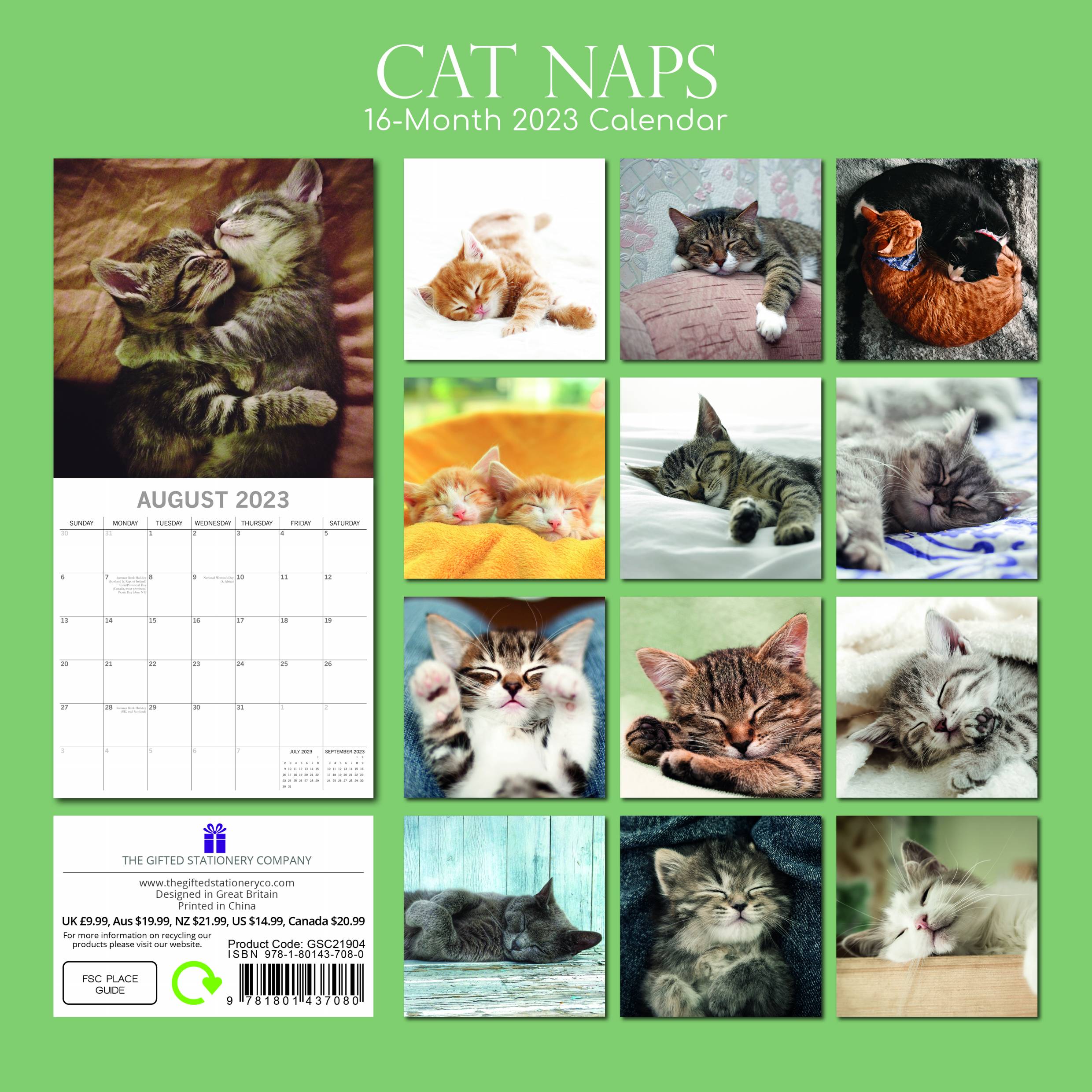 2023 Cat Naps - Square Wall Calendar