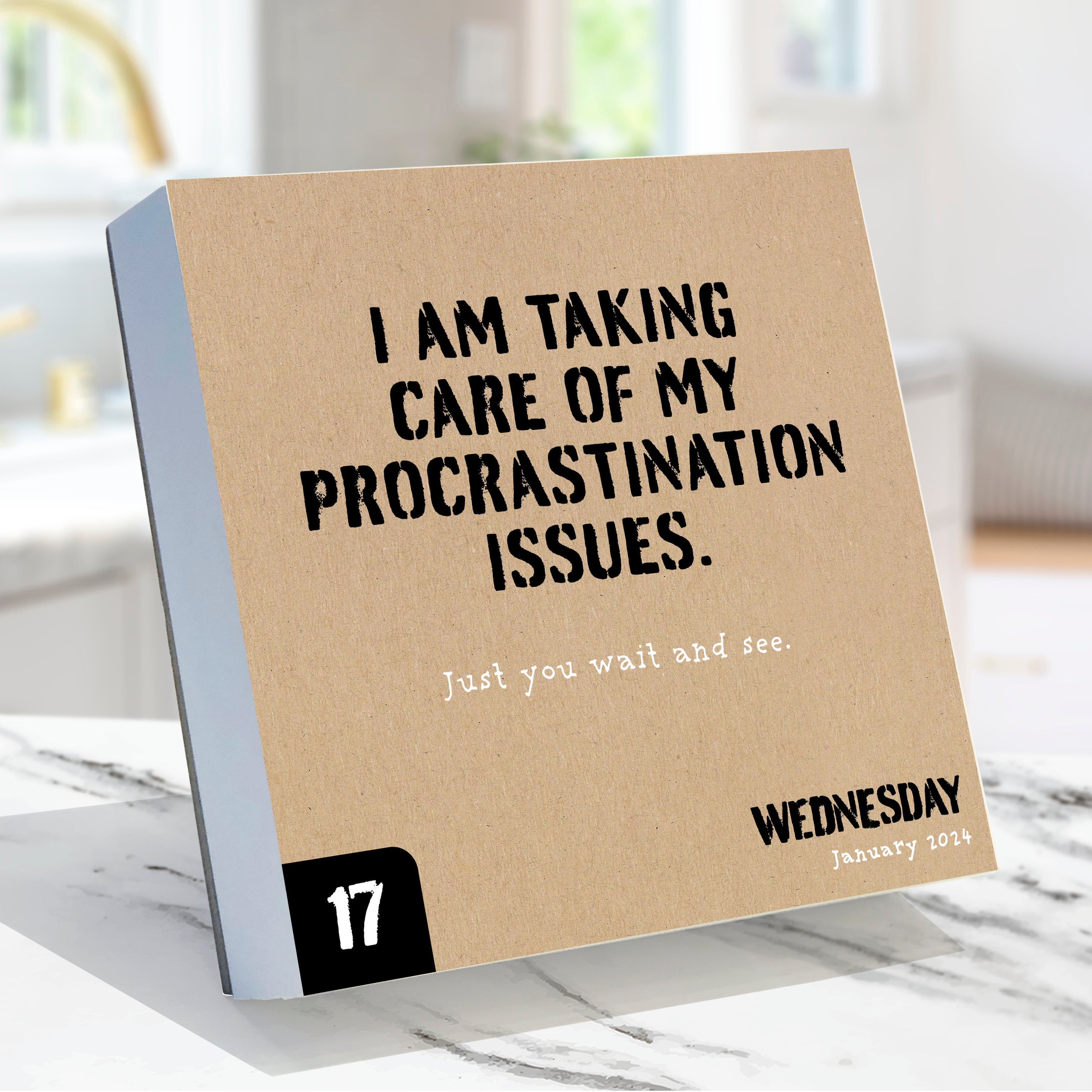 2024 Anti Affirmations/Daily Sarcasm - Daily Boxed Page-A-Day Calendar US