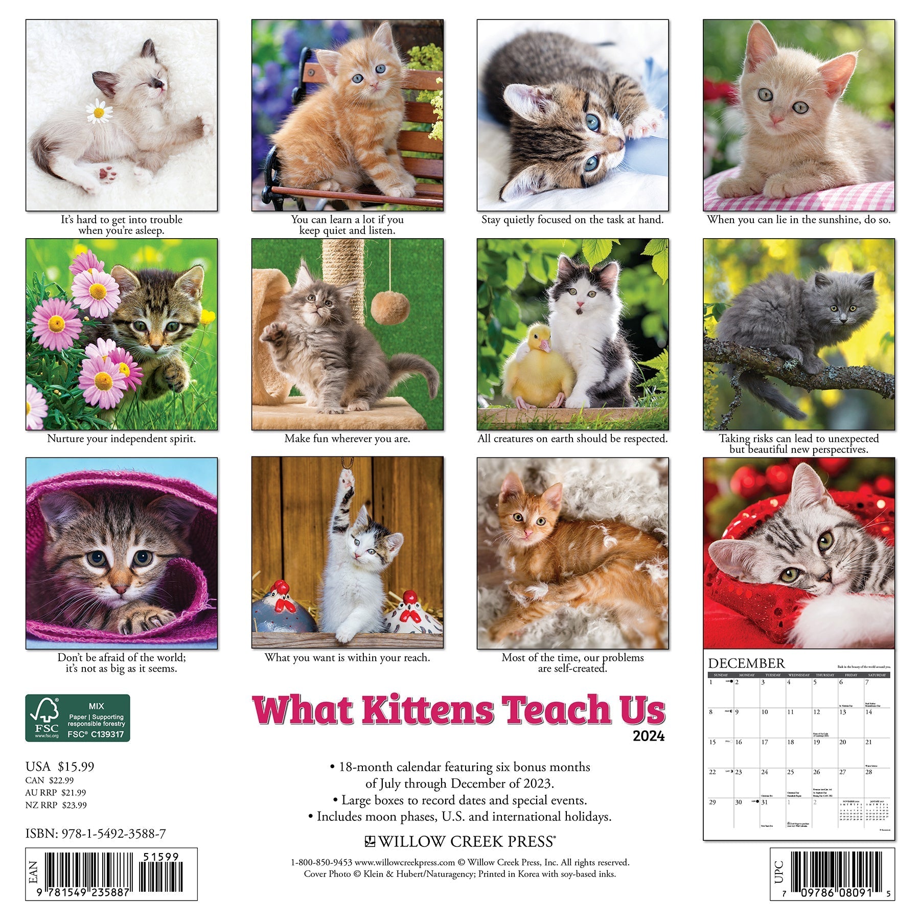 2024 What Kittens Teach Us - Square Wall Calendar US