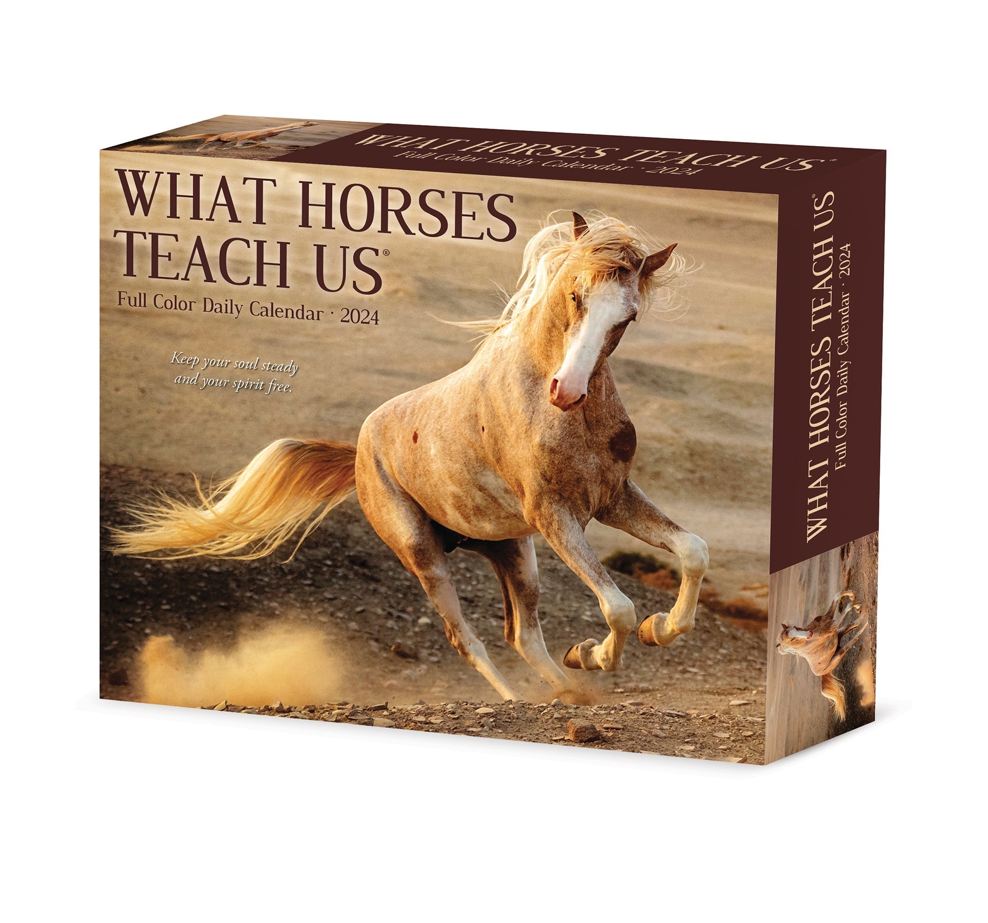 2024 What Horses Teach Us - Daily Boxed Page-A-Day Calendar US
