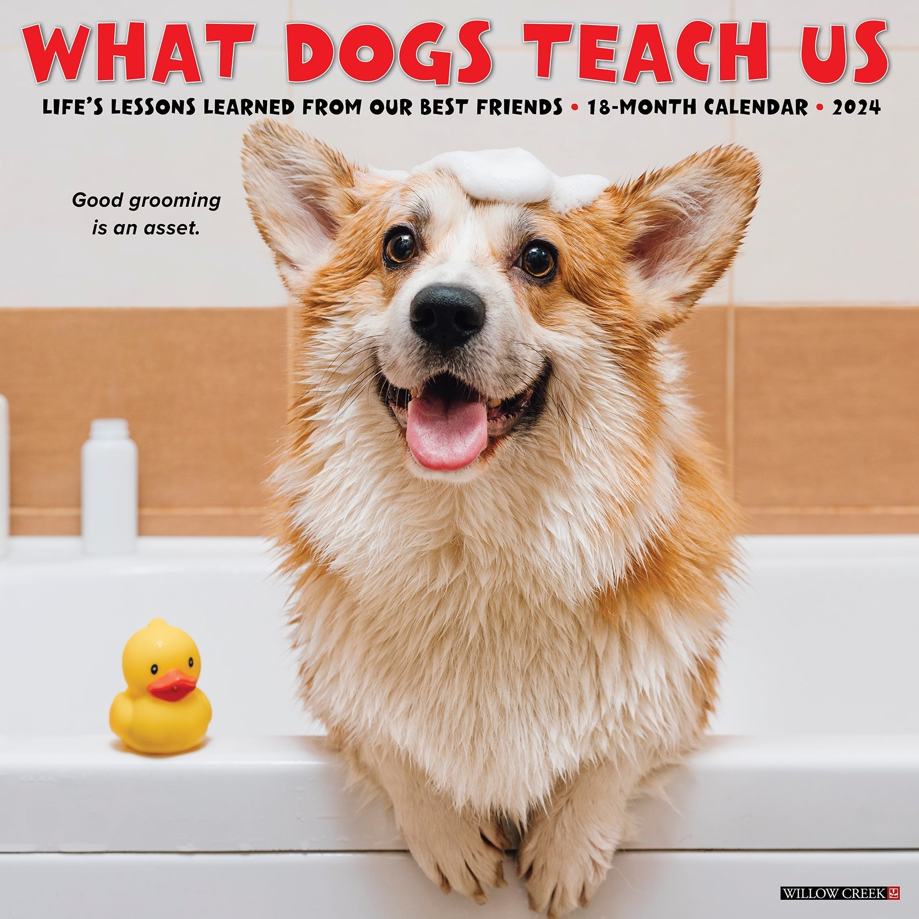2024 What Dogs Teach Us - Square Wall Calendar US