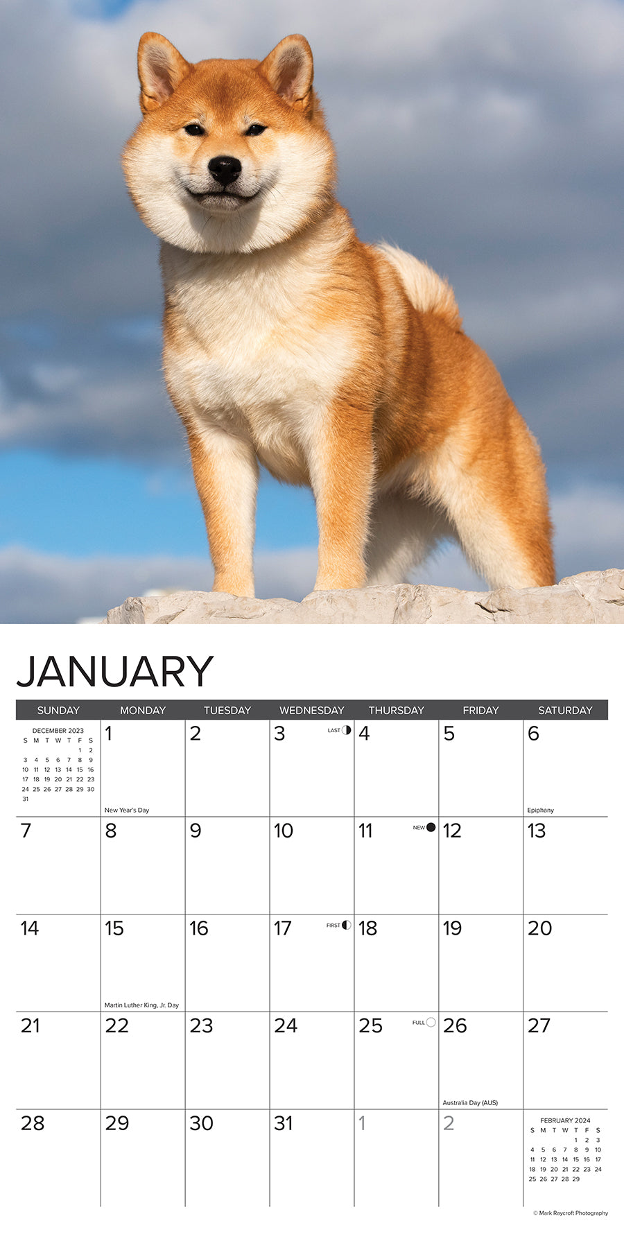 2024 Just Shiba Inus - Square Wall Calendar US