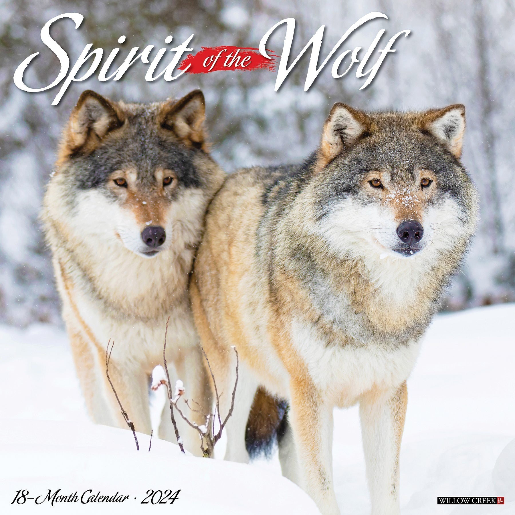 2024 Spirit of the Wolf - Square Wall Calendar US