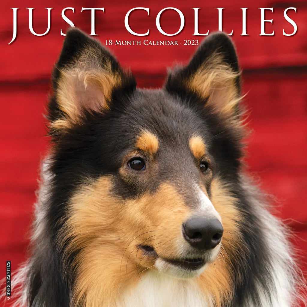 2023 Just Collies - Square Wall Calendar