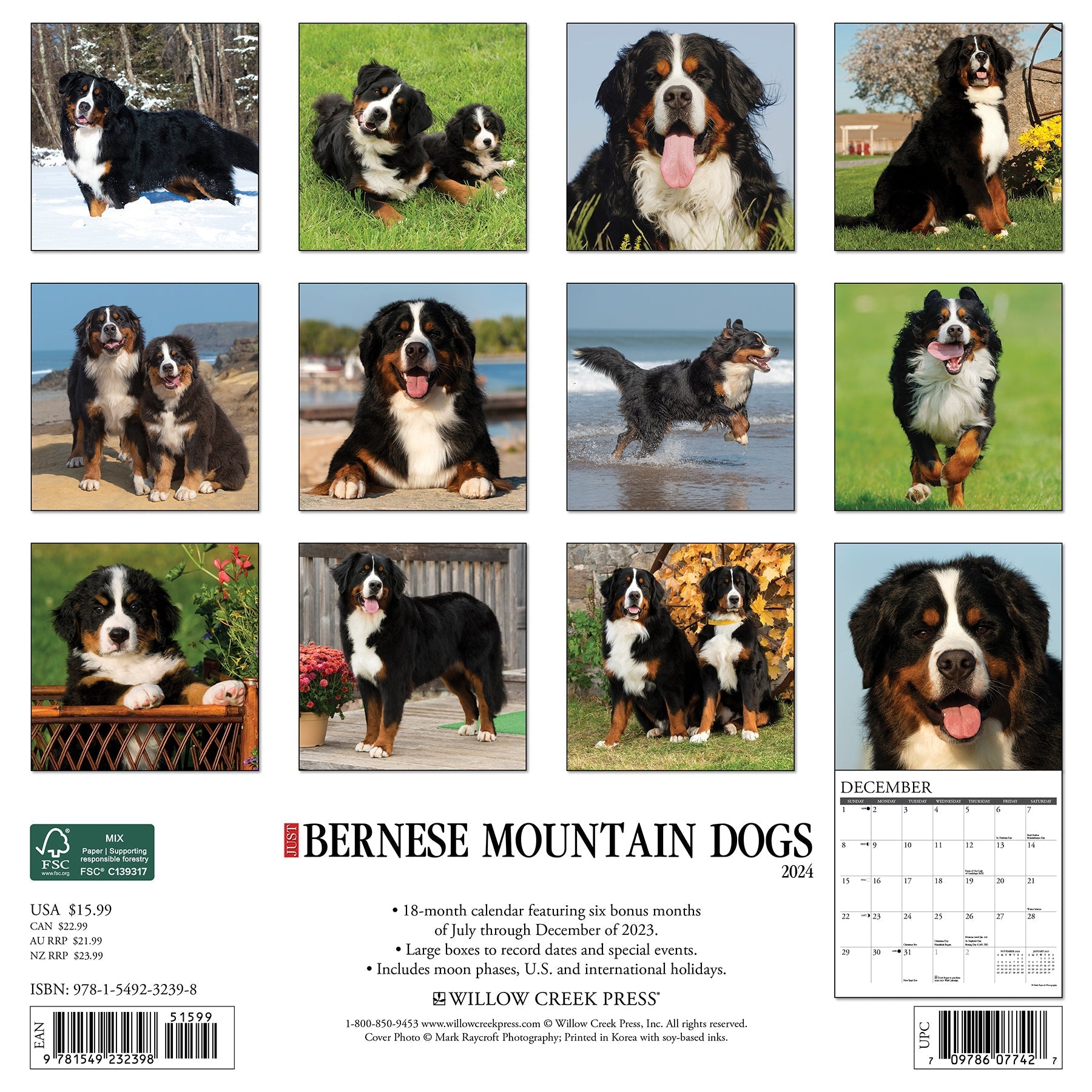 2024 Just Bernese Mountain Dog - Square Wall Calendar US