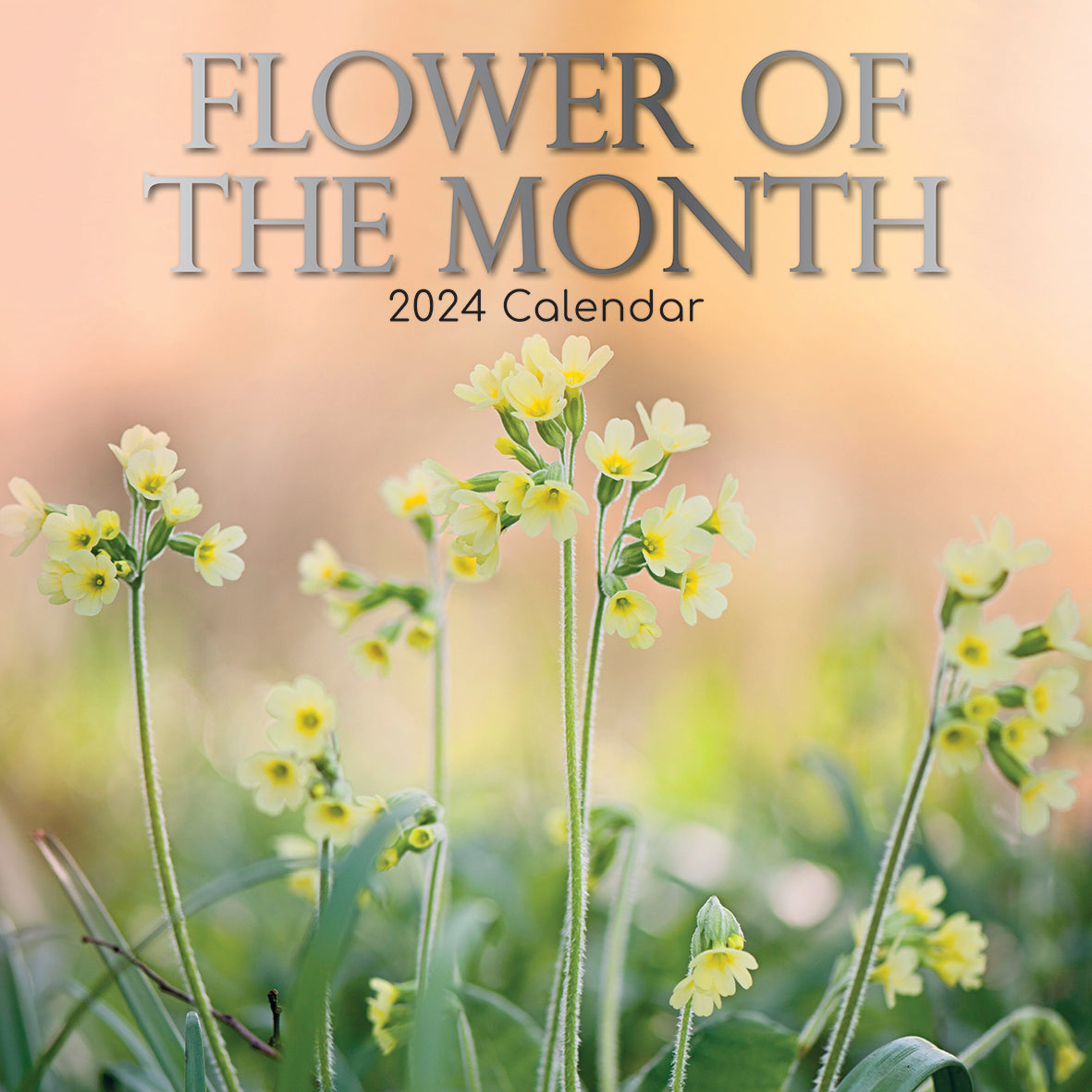2024 Flower of the Month - Square Wall Calendar