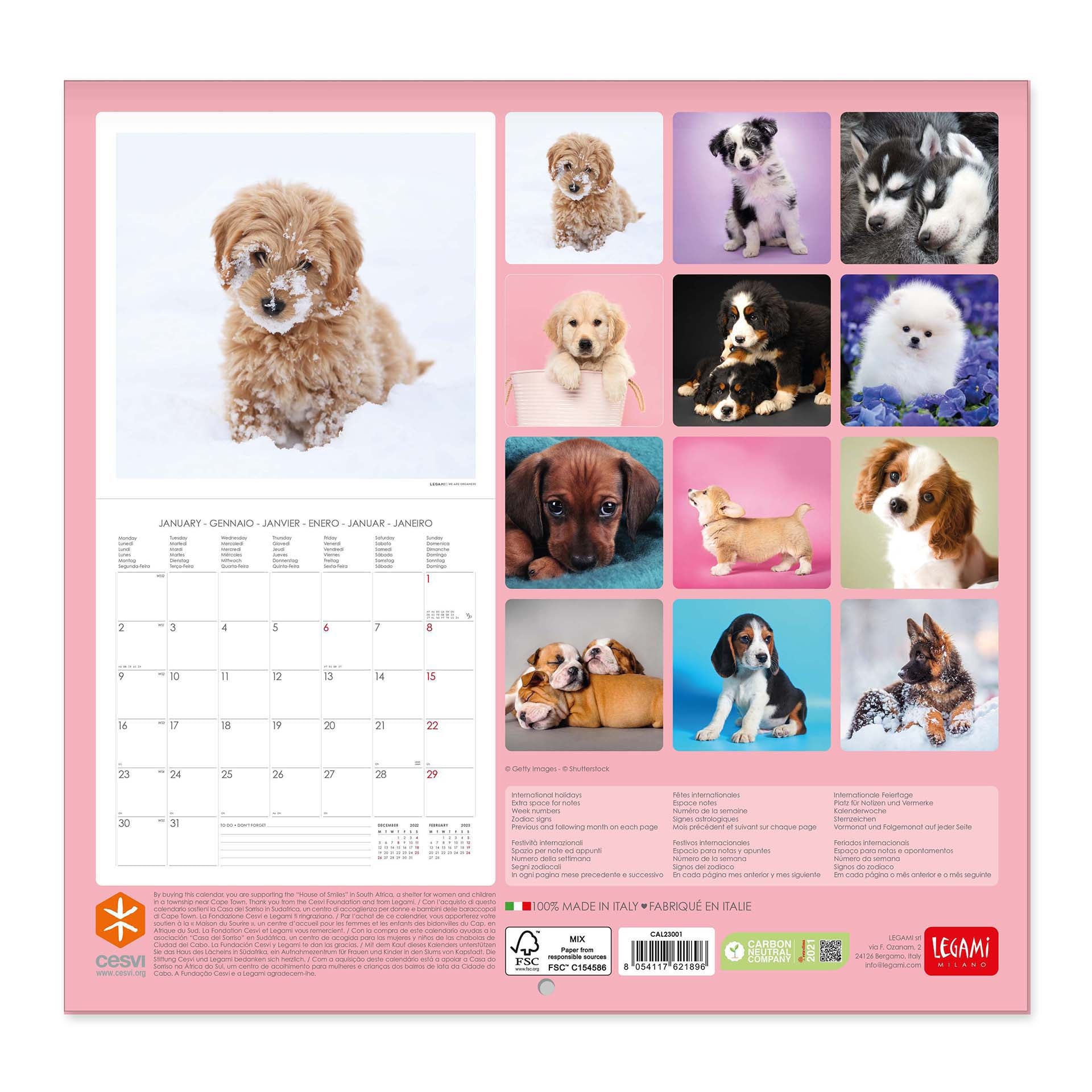 2023 Puppies - Square Wall Calendar