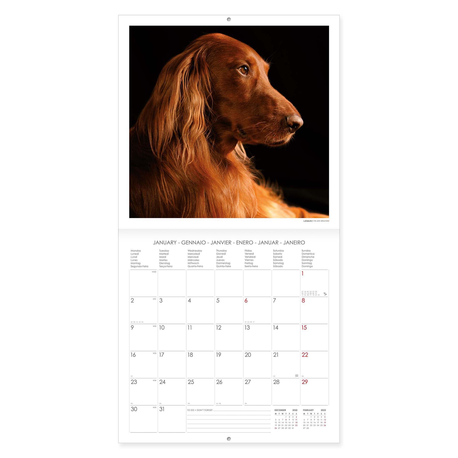 2023 Dogs - Square Wall Calendar