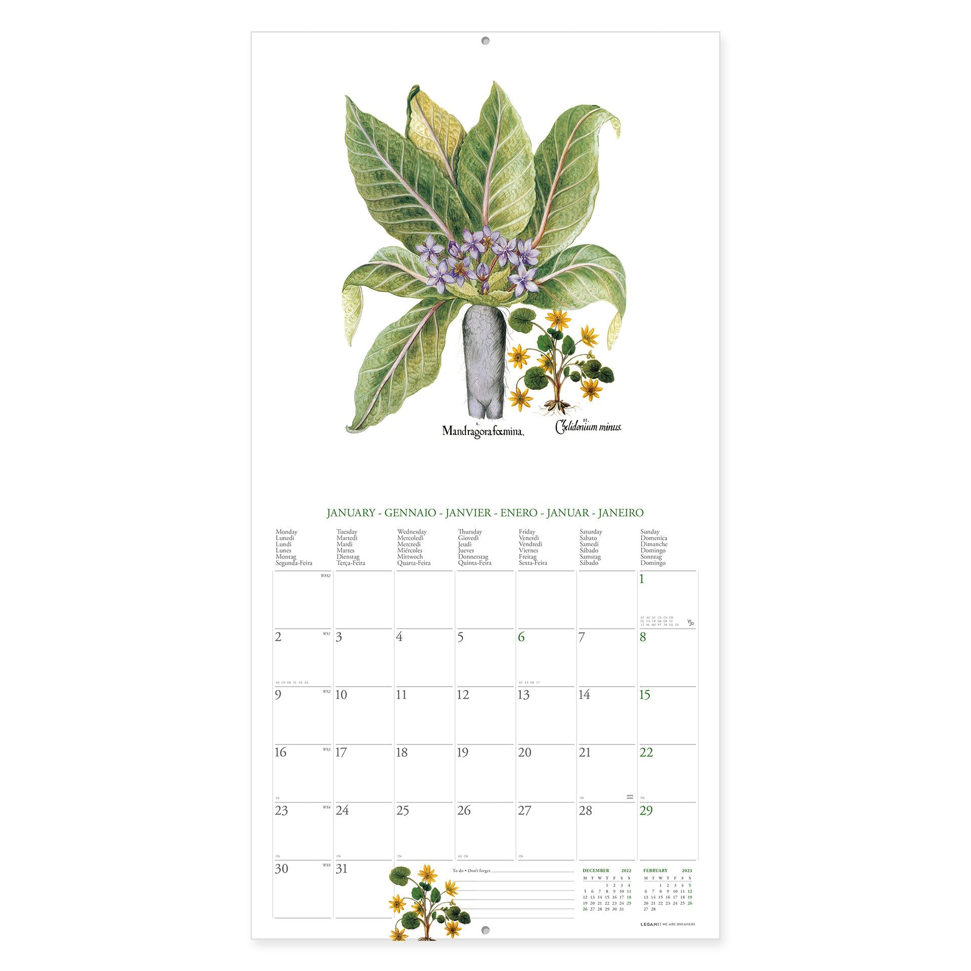 2023 Herbarium - Square Wall Calendar