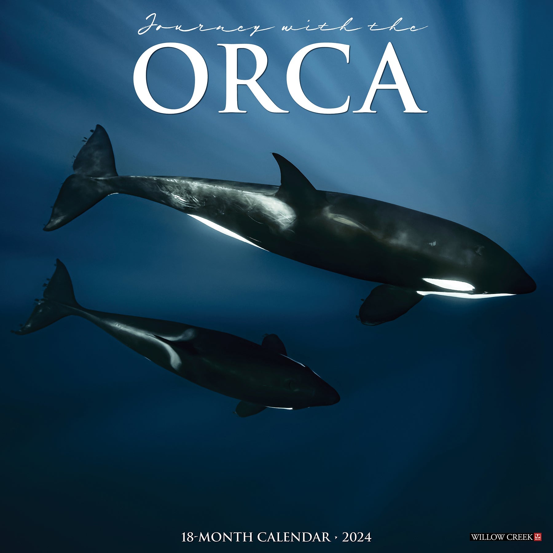 2024 Orca (Journey With the) - Square Wall Calendar US