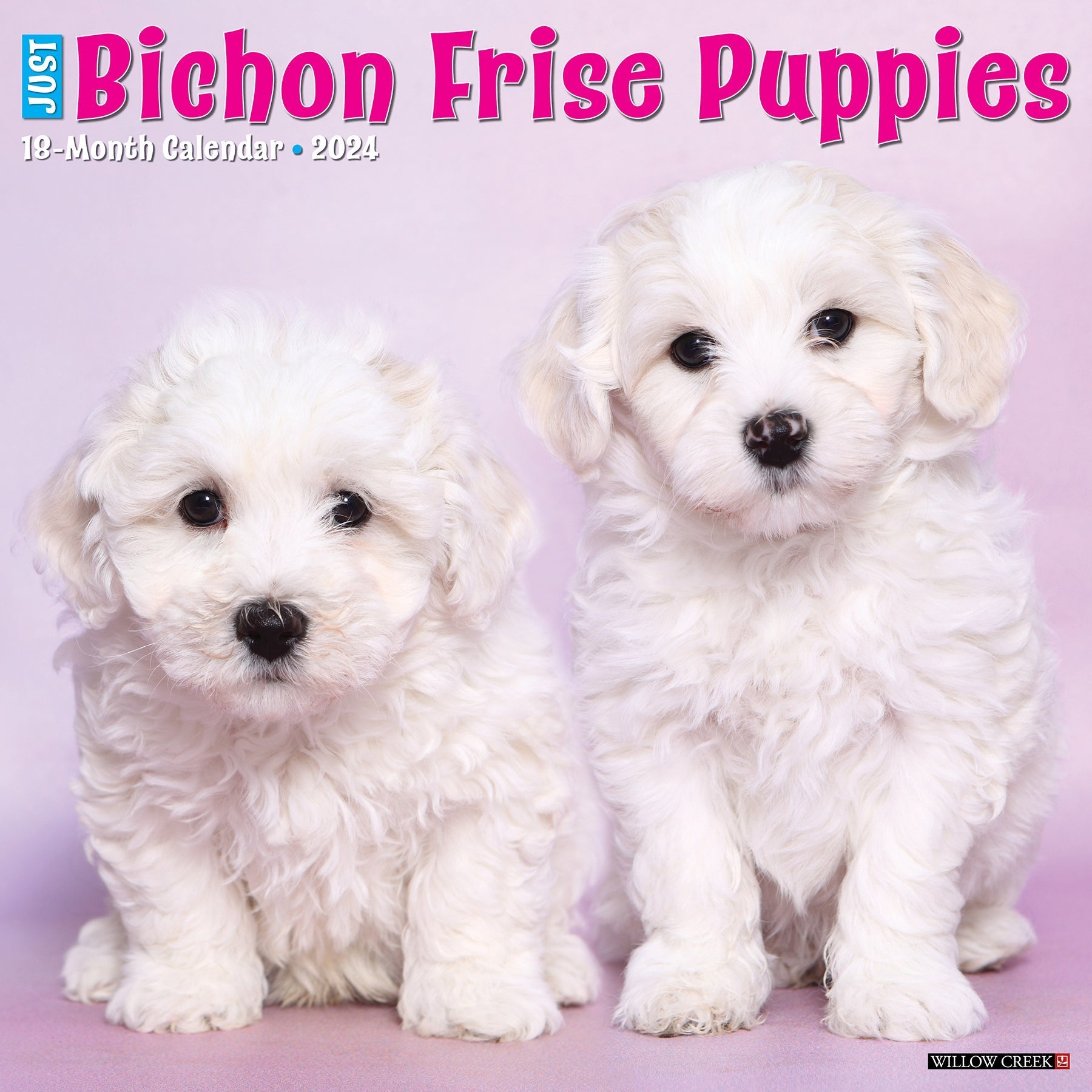 2024 Just Bichon Frise Puppies - Square Wall Calendar US
