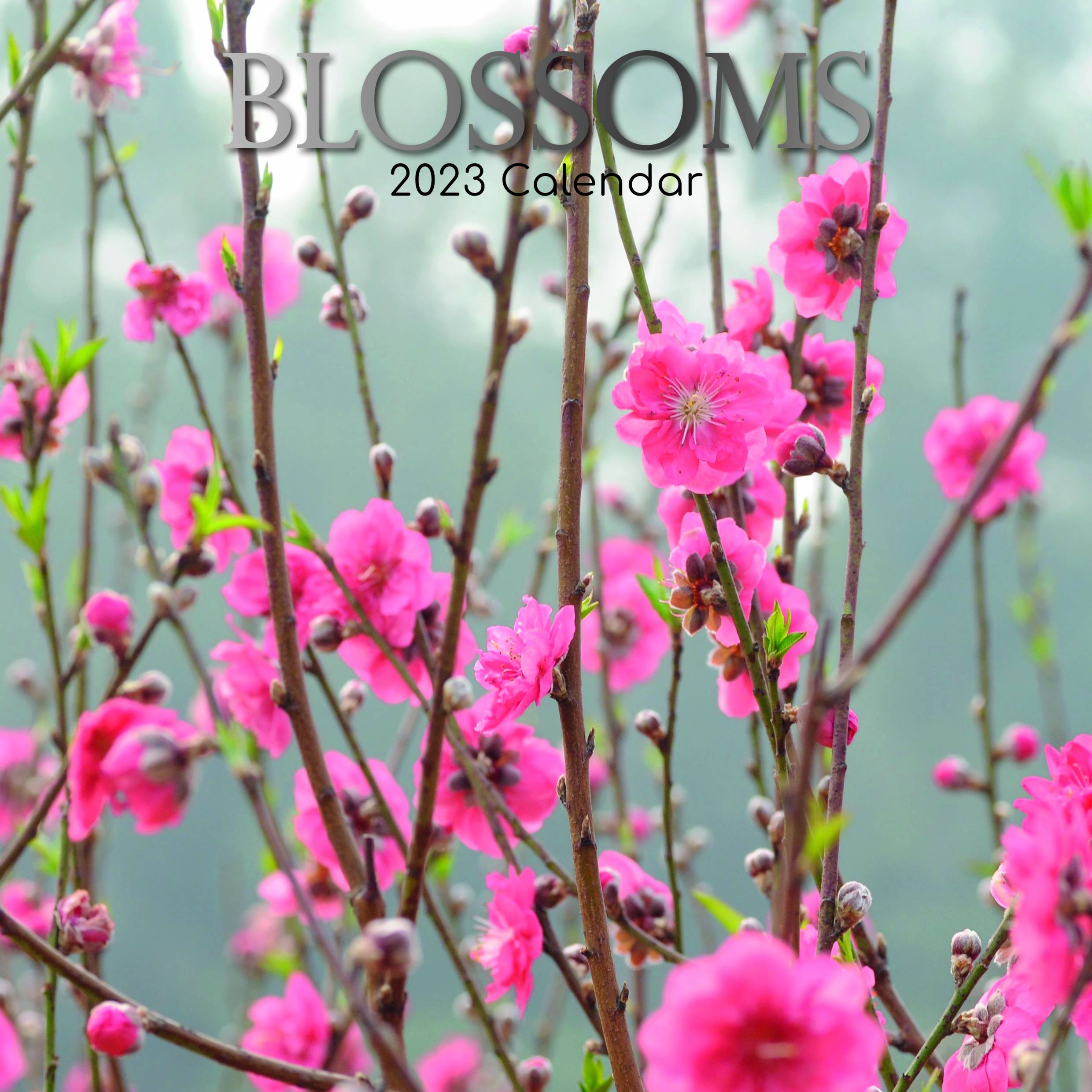 2023 Blossoms - Square Wall Calendar