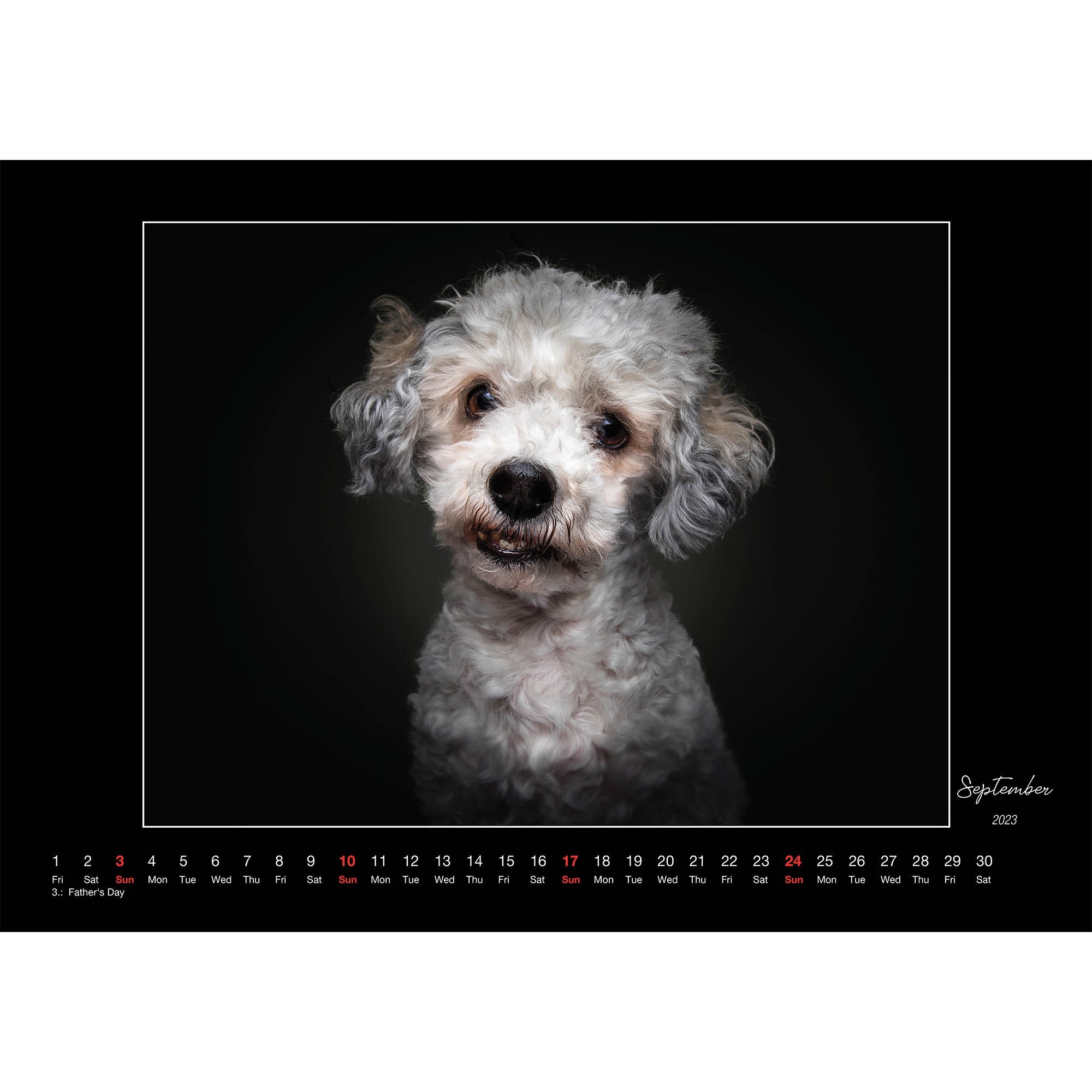 2023 Heartbreaker Dogs - Deluxe Wall Calendar