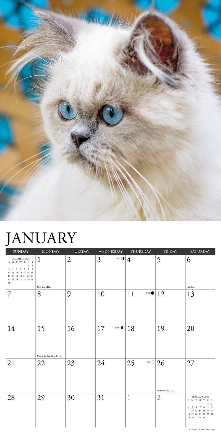 2024 Just Himalayan Cats - Square Wall Calendar US
