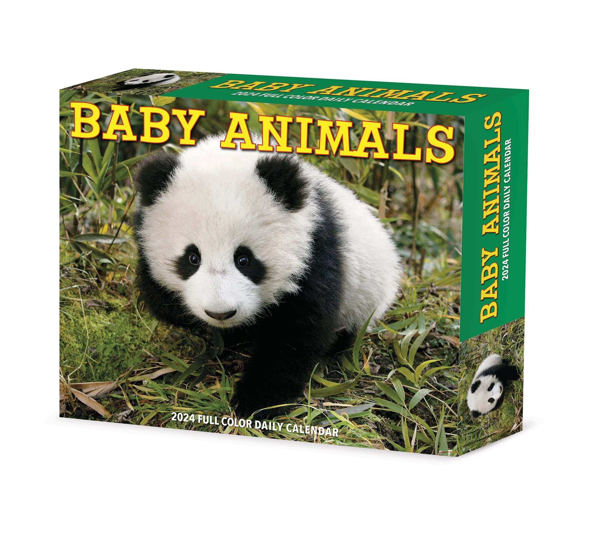 2024 Baby Animals - Daily Boxed Page-A-Day Calendar US