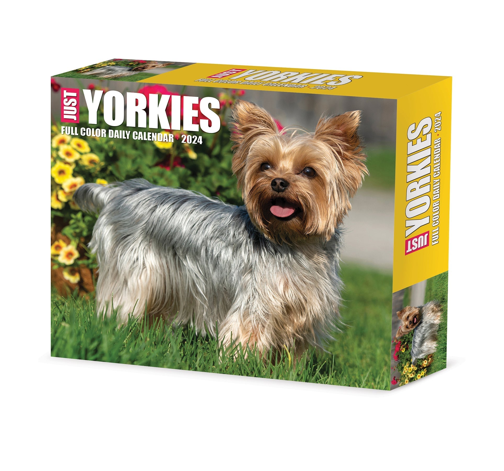 2024 Yorkies - Daily Boxed Page-A-Day Calendar US