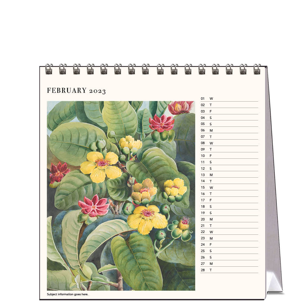 2023 Flowers by Ellis Rowan - Desk Easel Calendar