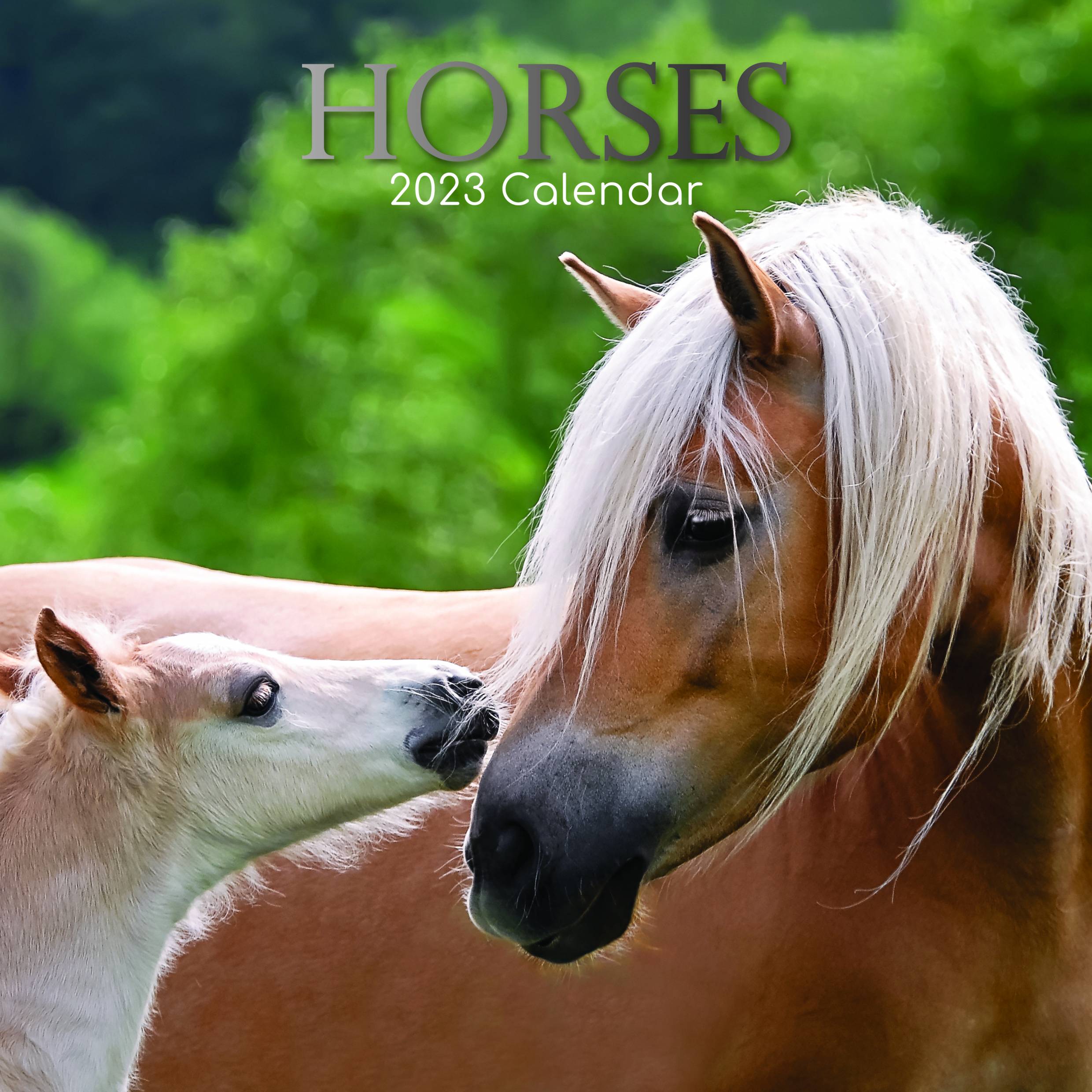 2023 Horses - Square Wall Calendar