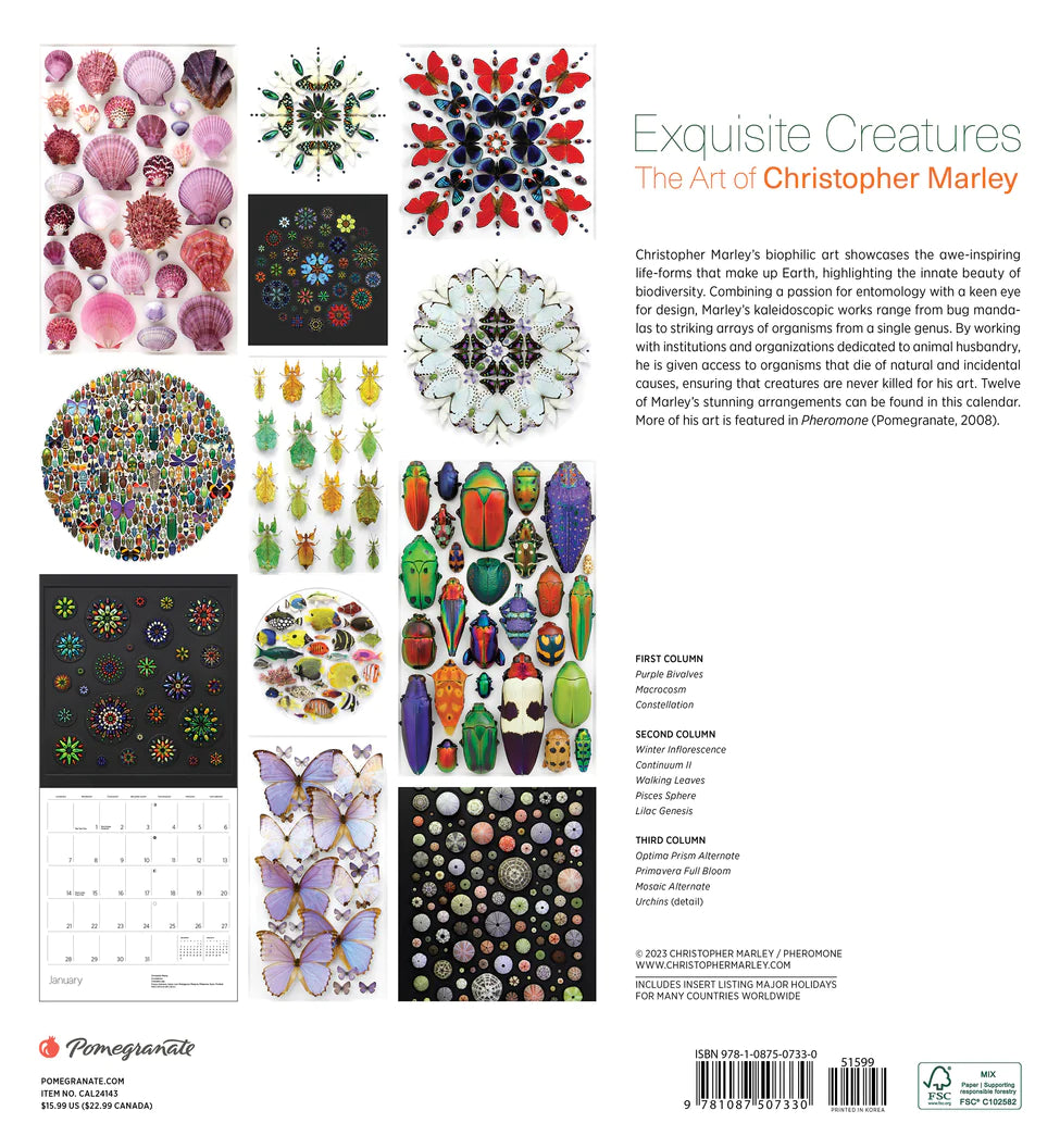 2024 Exquisite Creatures: The Art of Christopher Marley - Square Wall Calendar  SOLD OUT