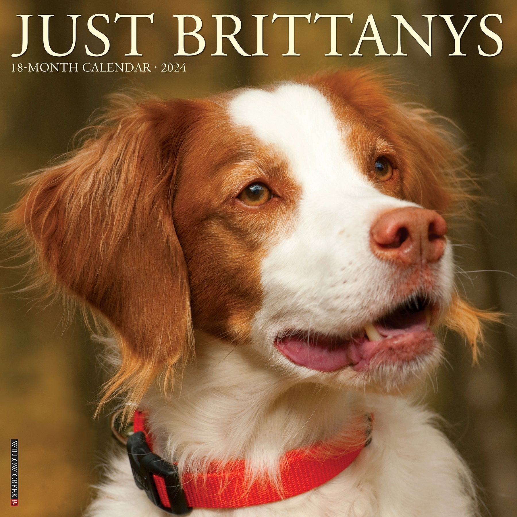 2024 Just Brittanys - Square Wall Calendar US